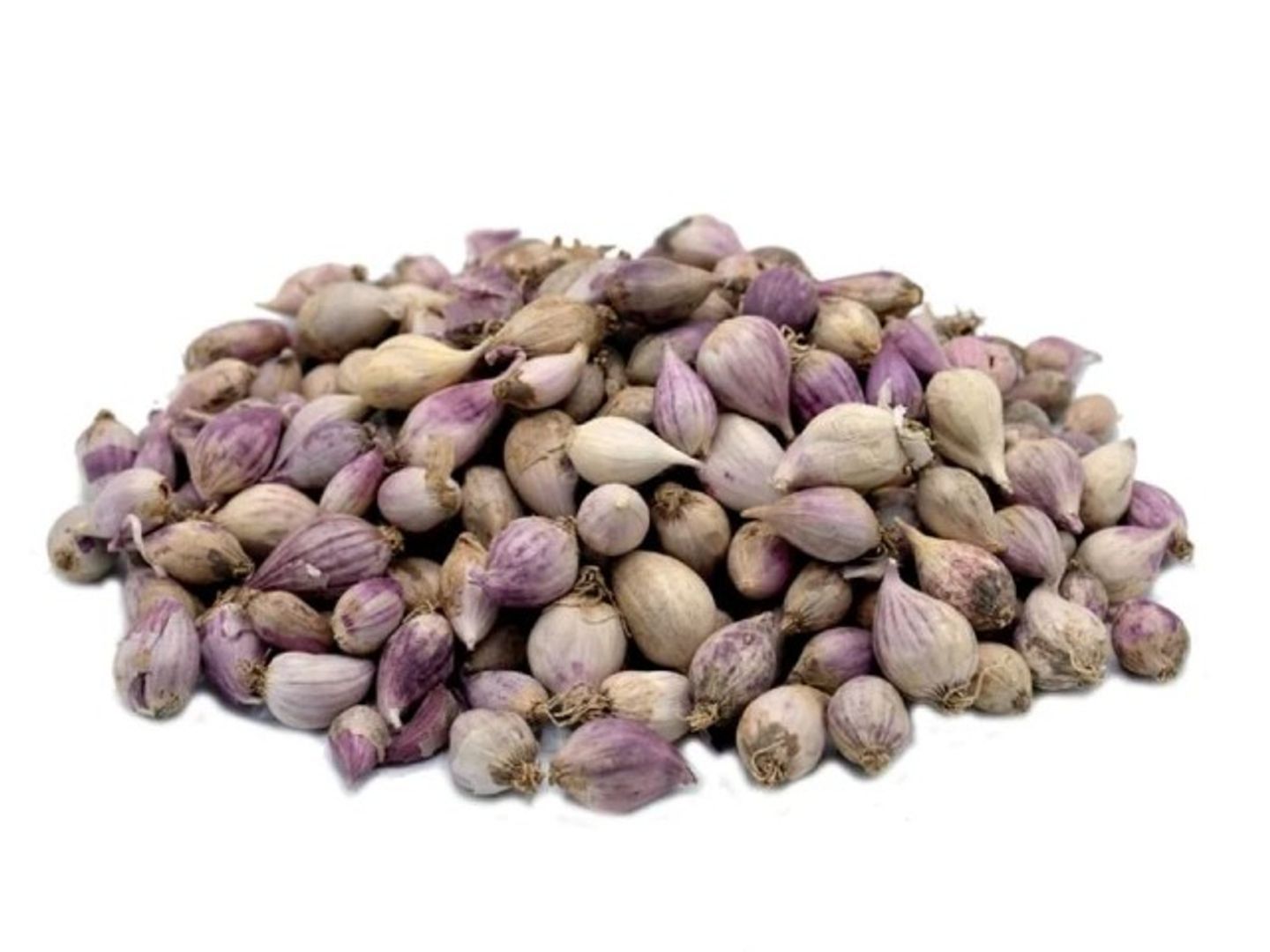 Male Garlic, 99 Kg