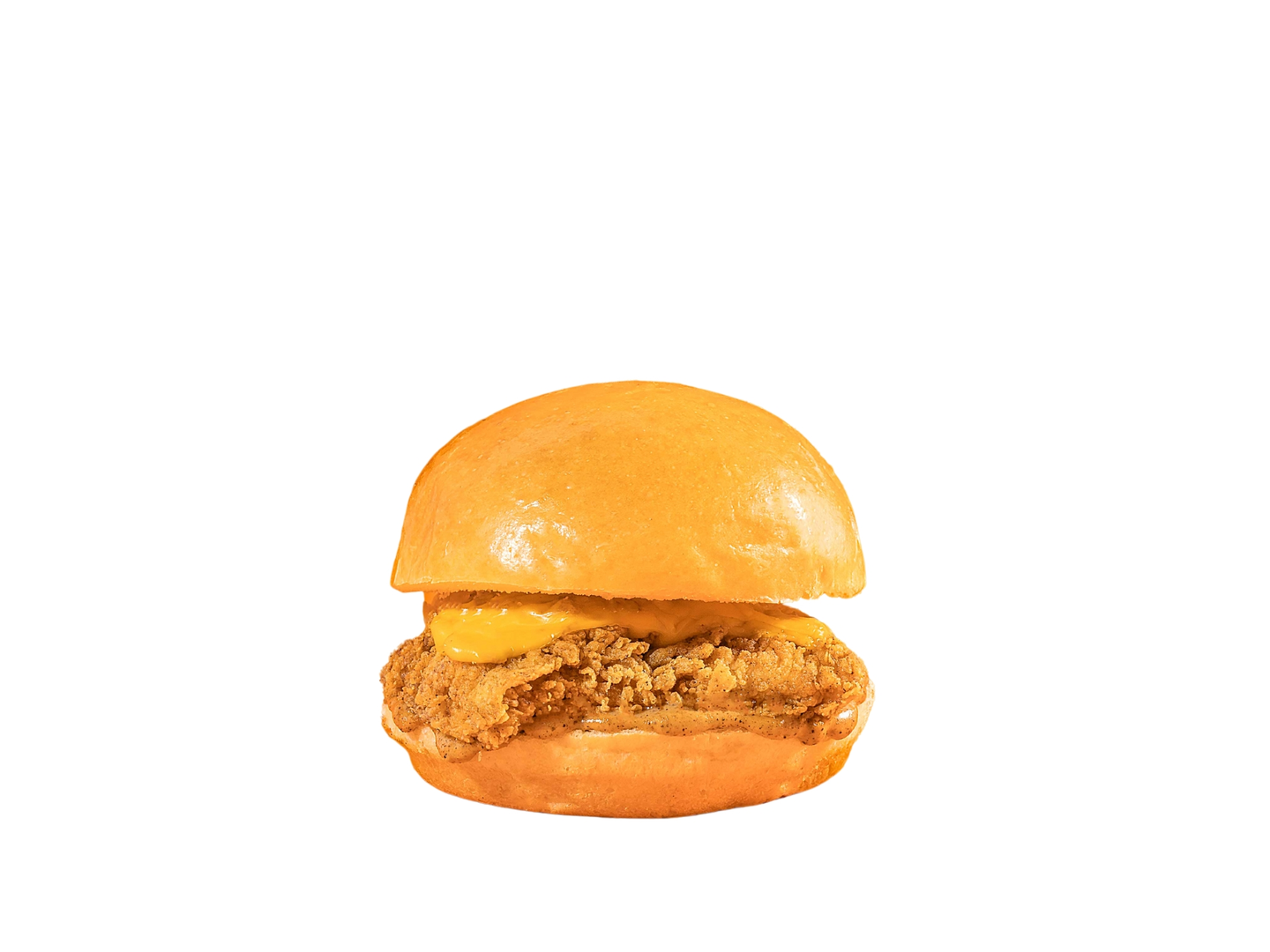 Crunchy Burger