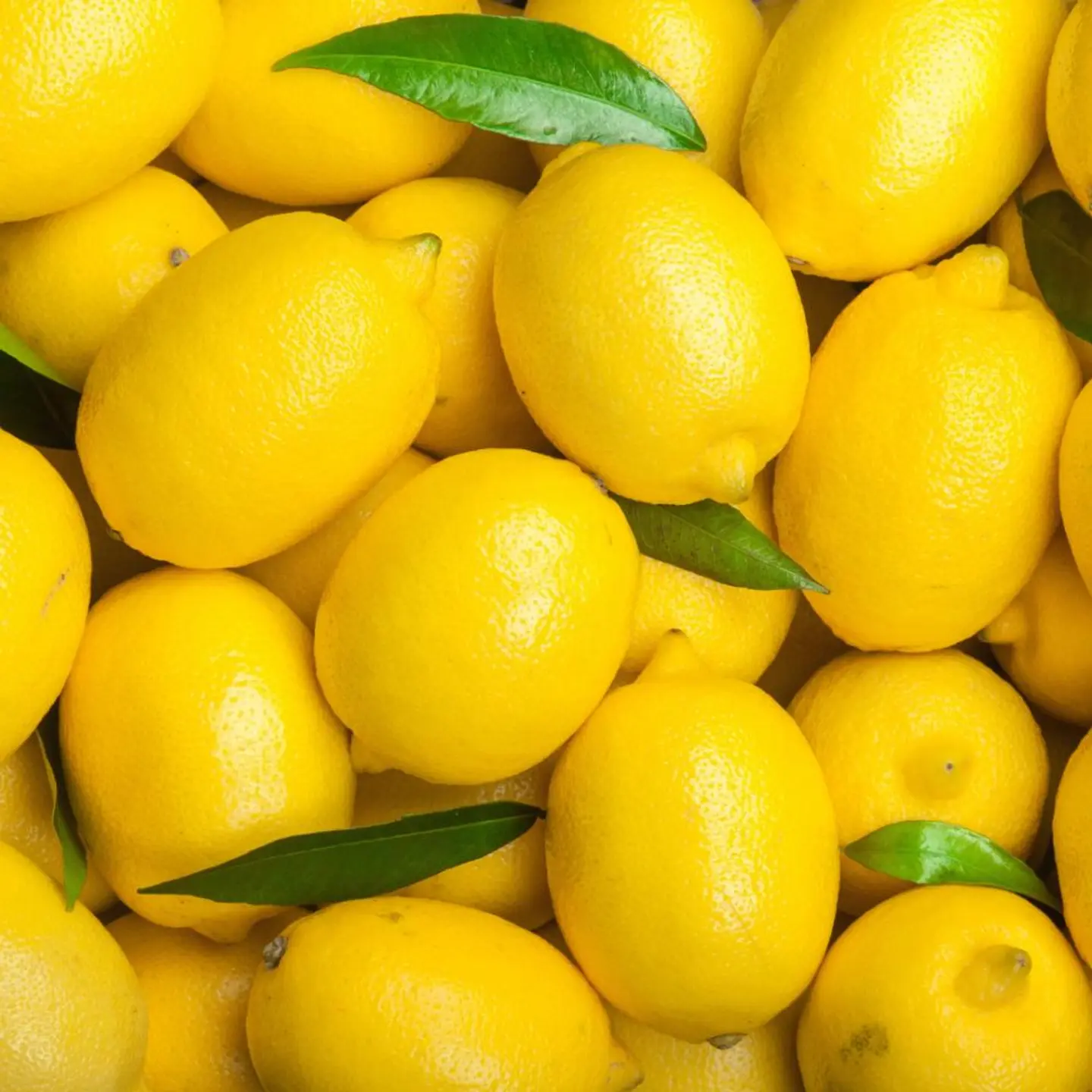 Lemon Yellow
