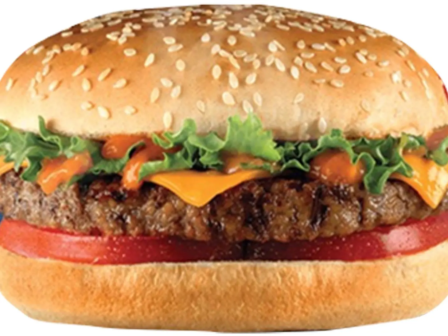 Regular Aashi Burger