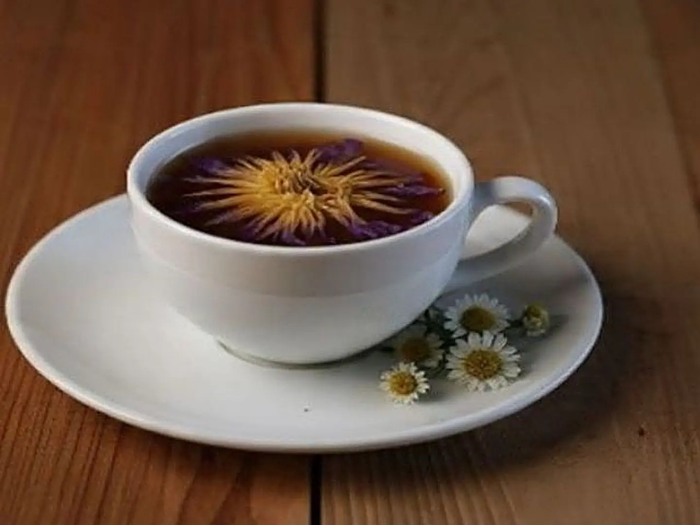 Blue Lotus Serenity