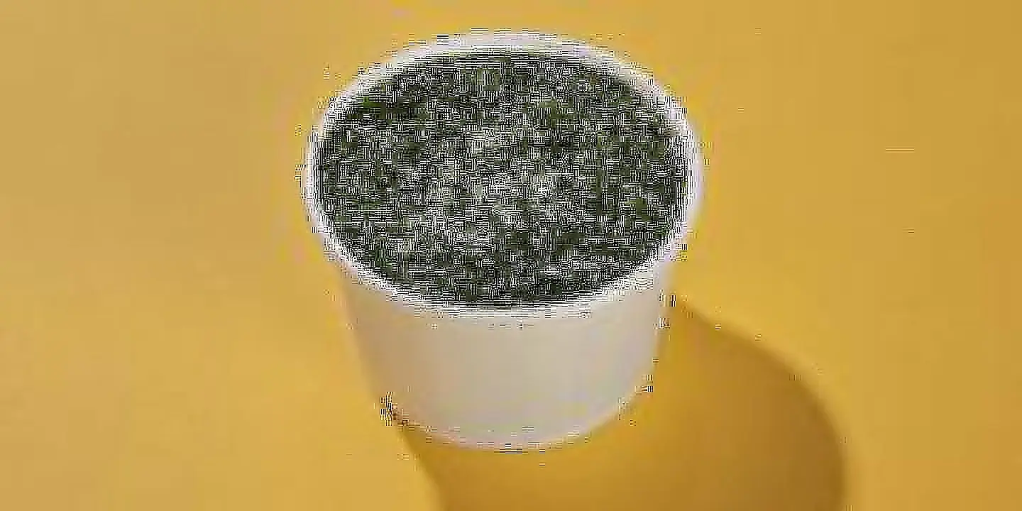 ملوخية