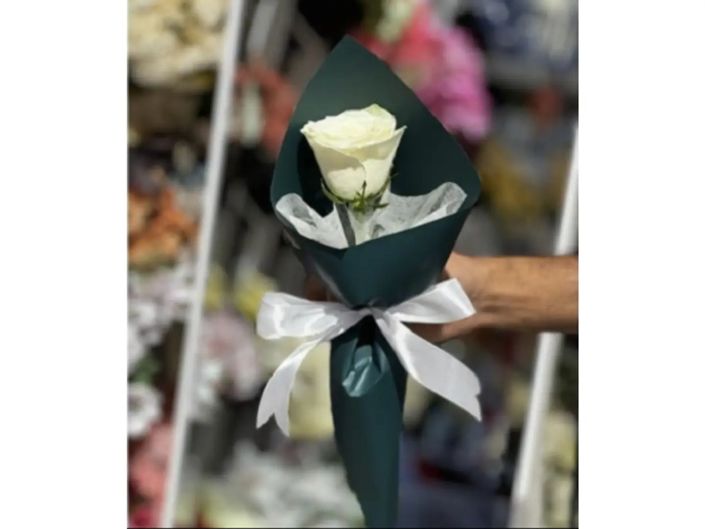 توزيعات 2
