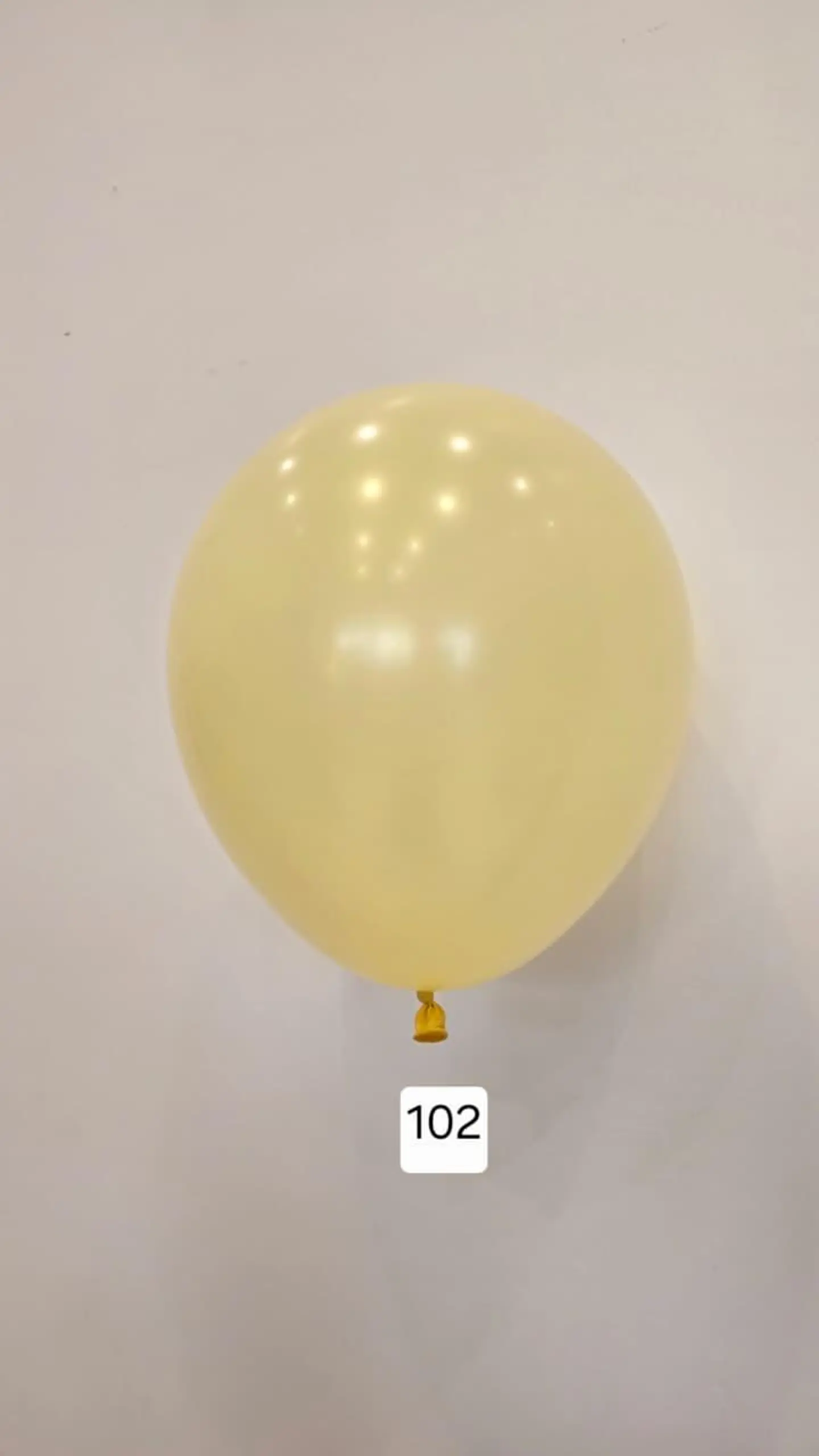 Balloon Number 102