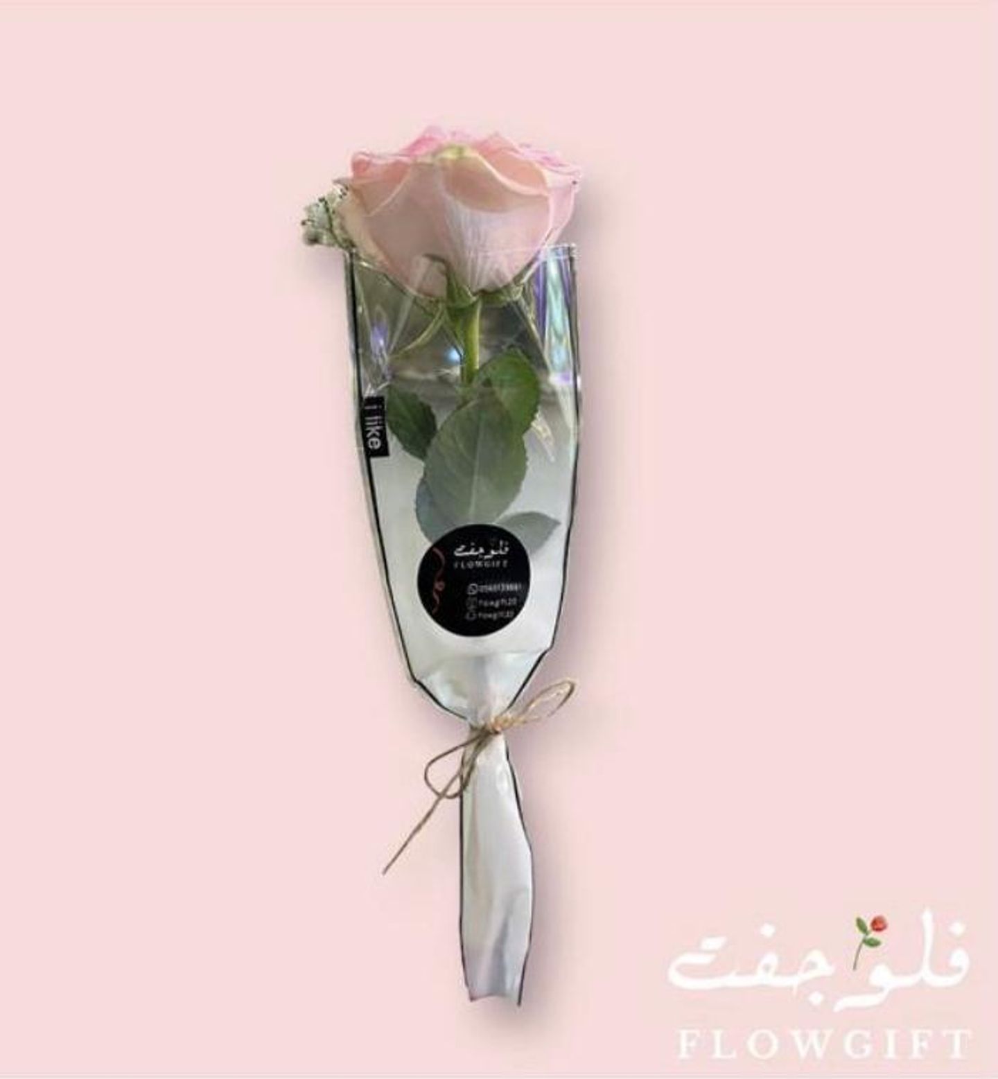 وردة