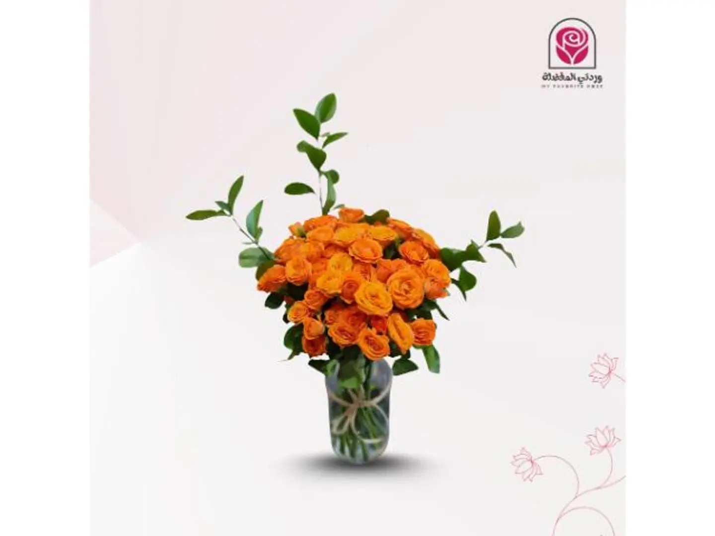 فازة بيبي روز