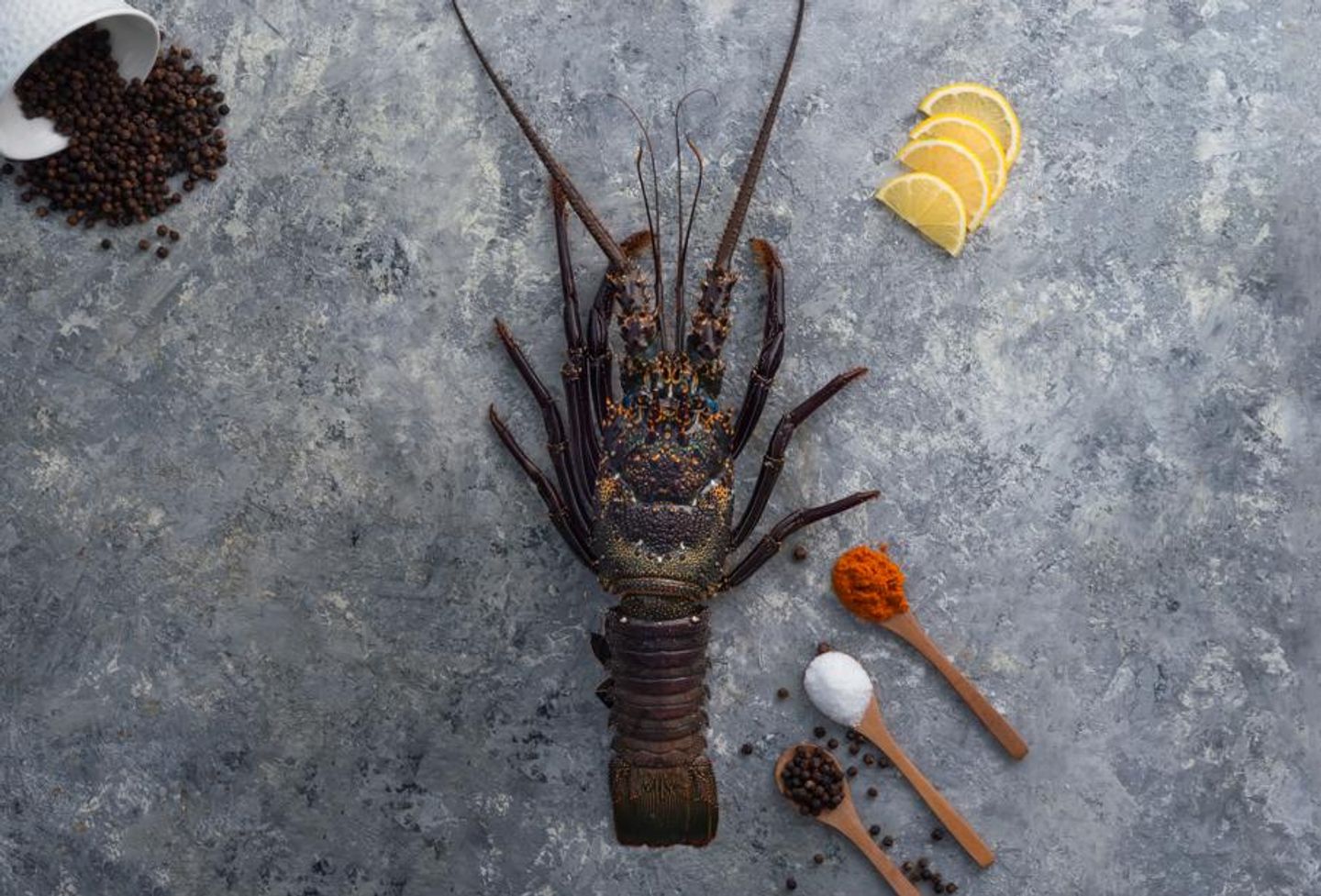 Lobster - Kilo