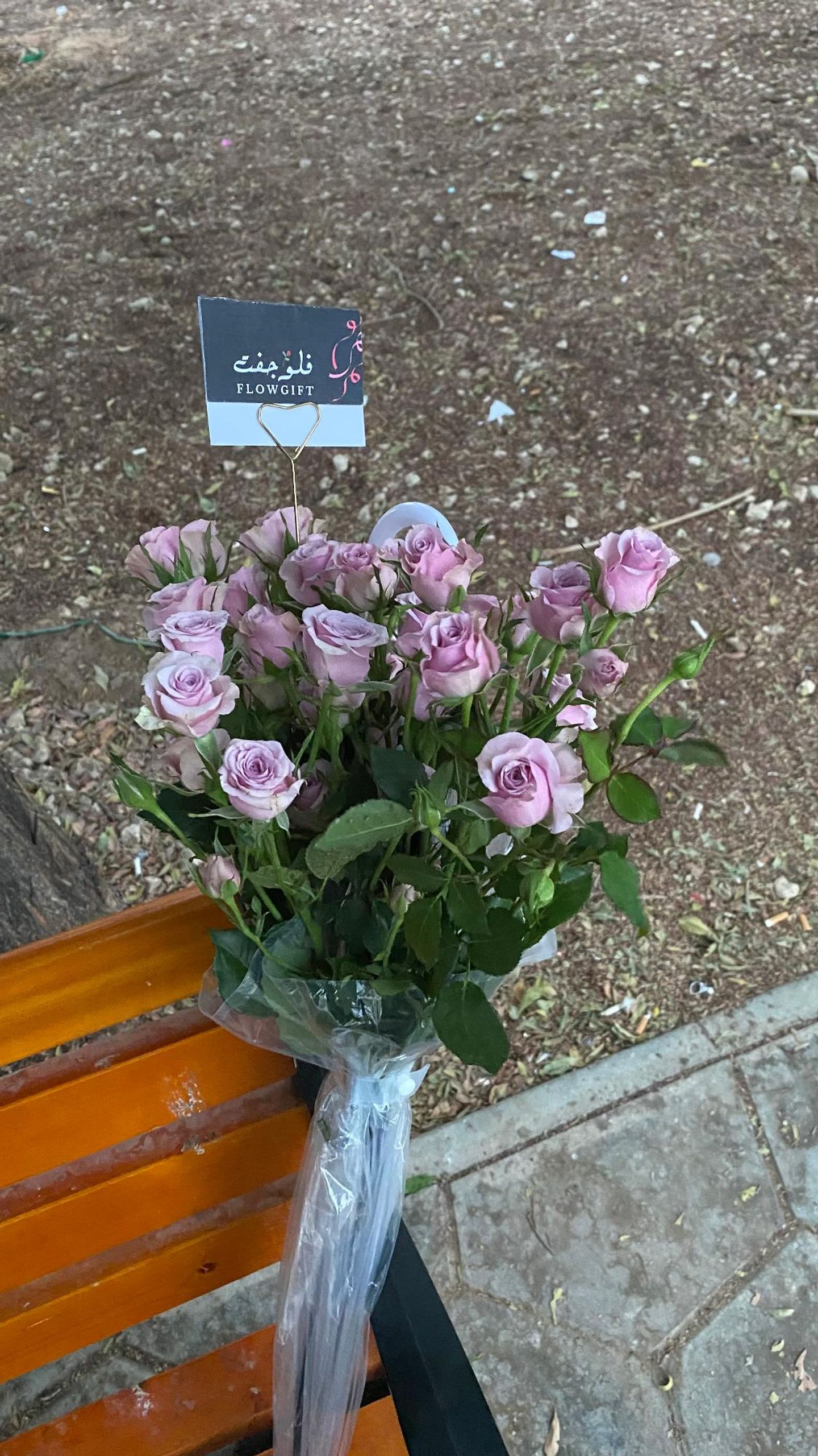 ريني 3