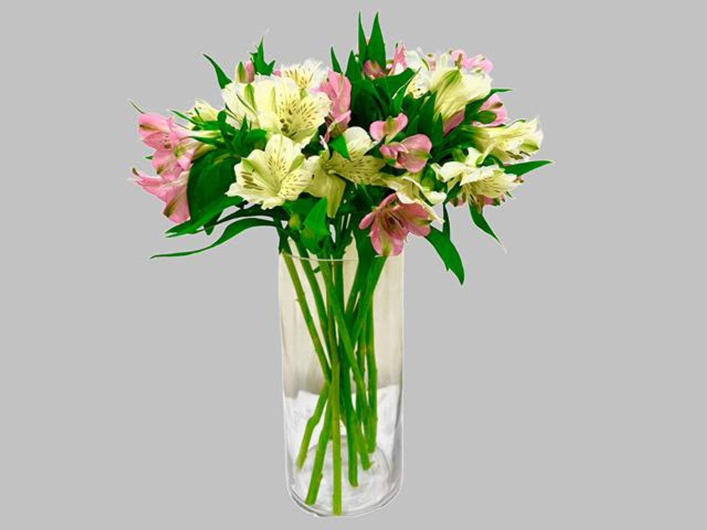 Sanabel Rose Vase Qw12