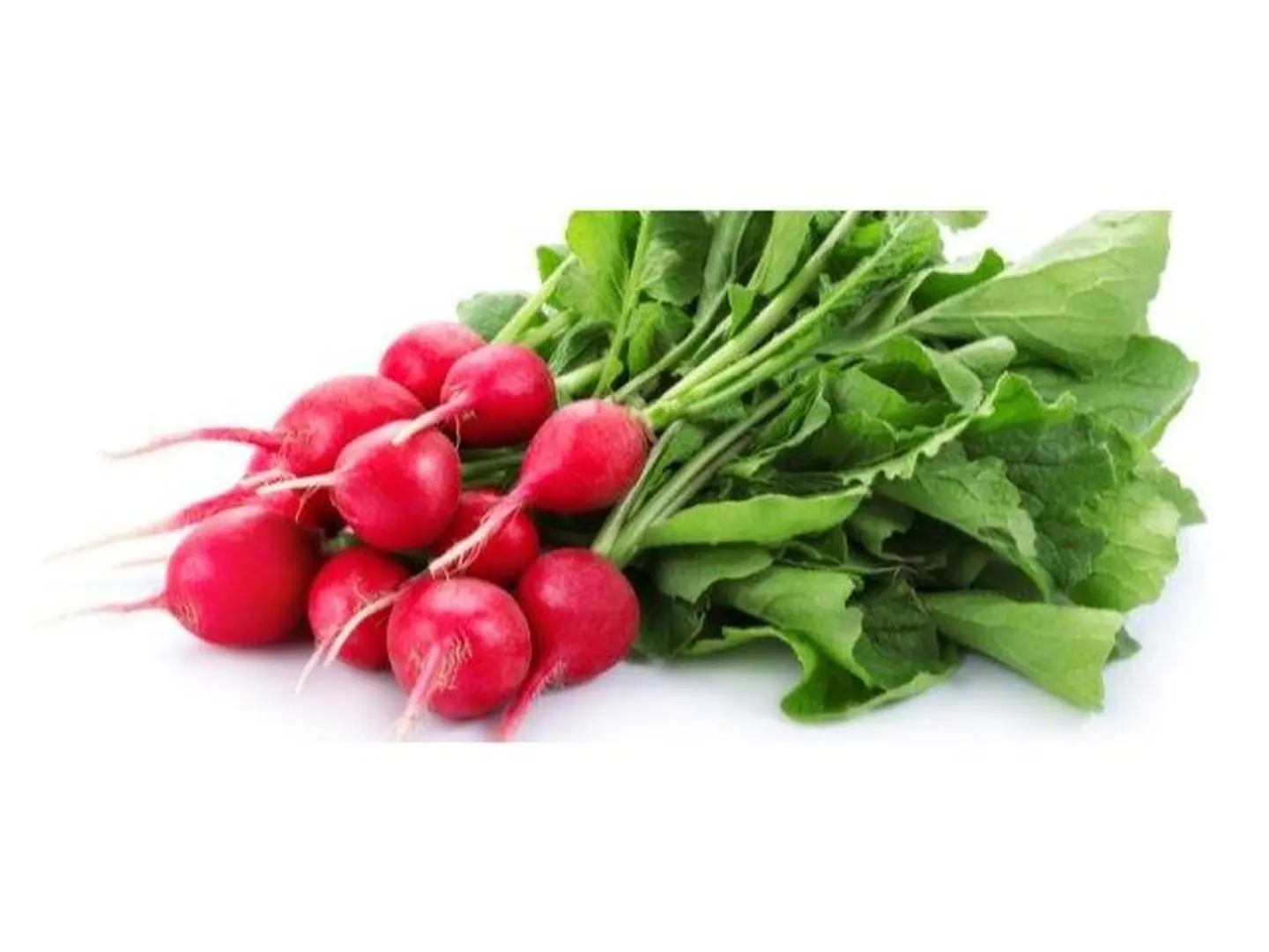 Radish Red