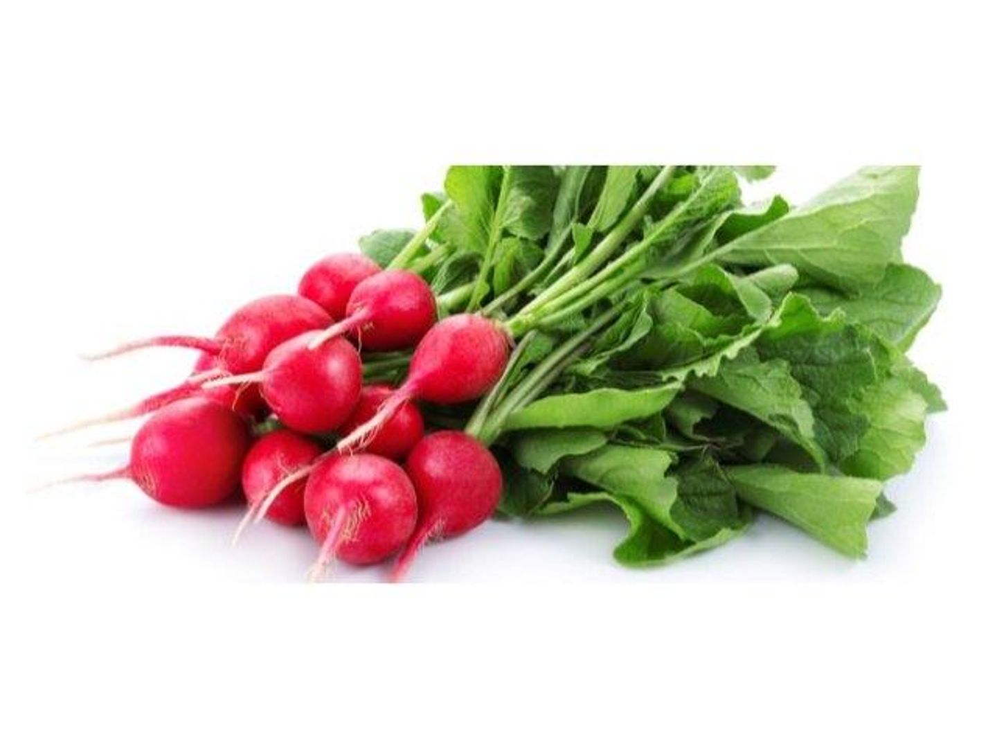 Radish Red