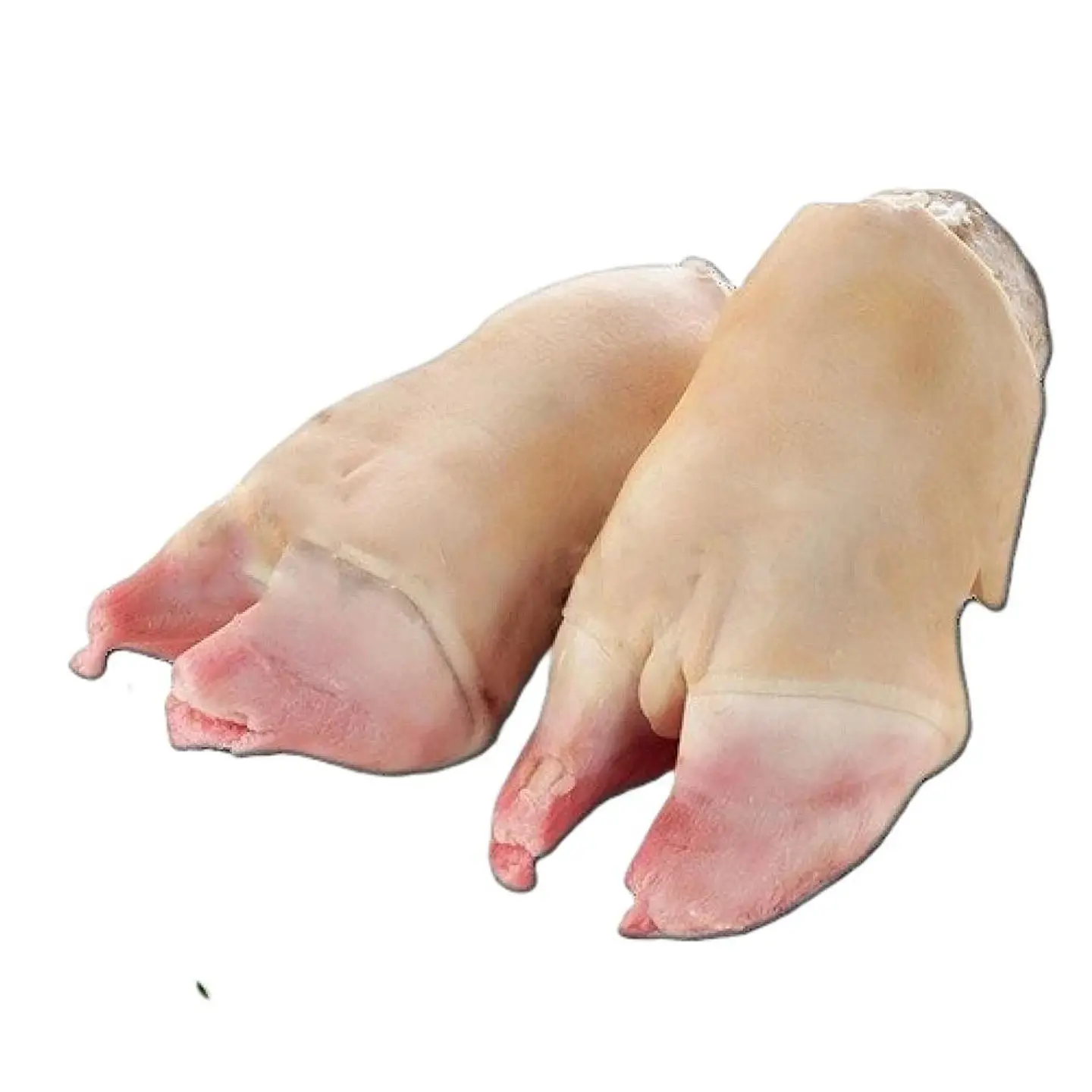 Sawakni Trotters