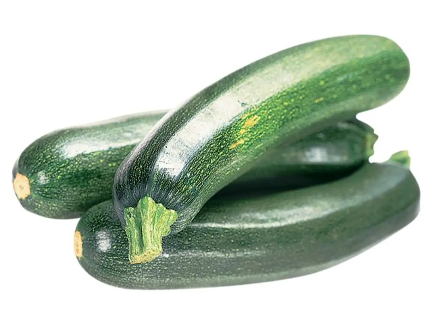 Courgette Green Holland
