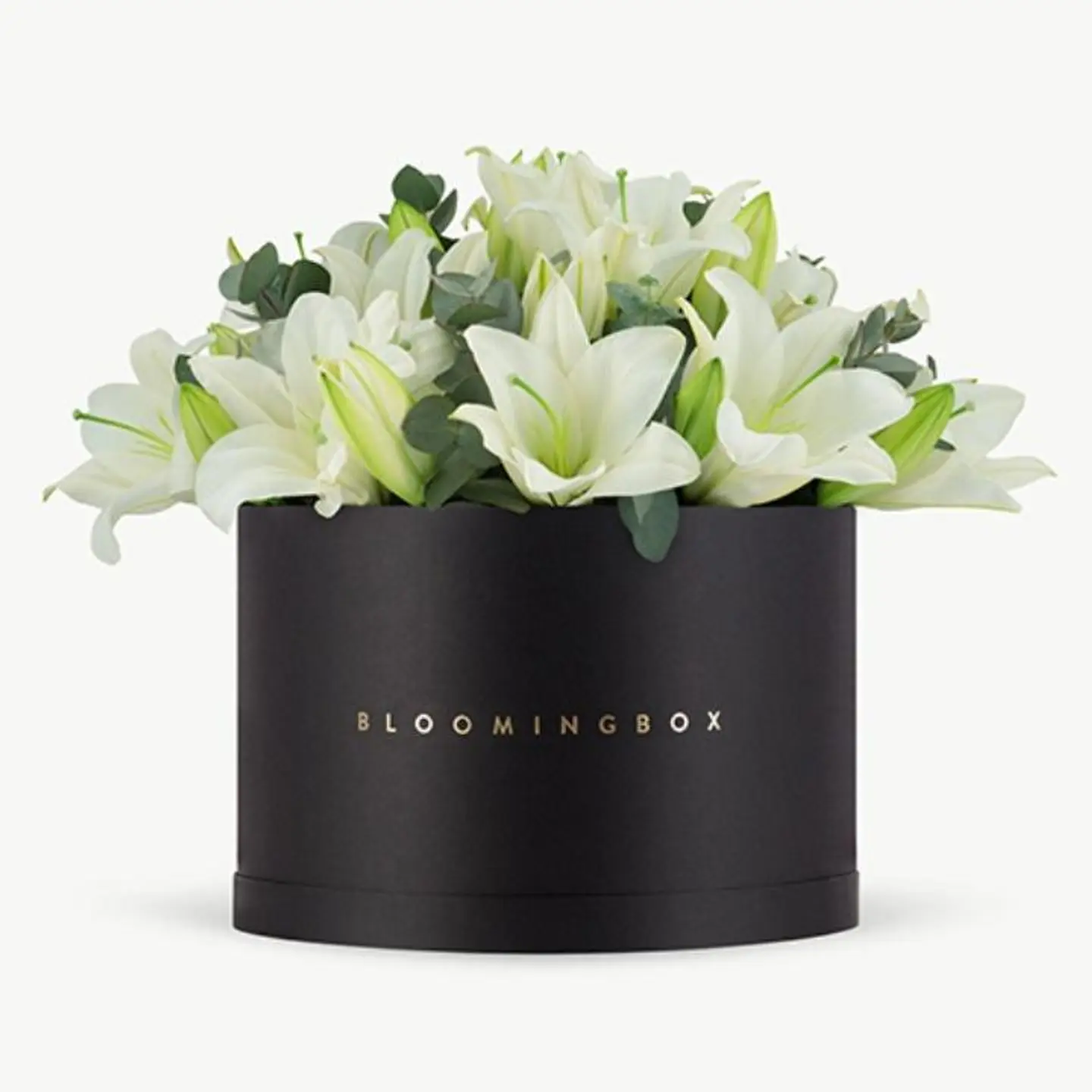 Lilies Box X Large
