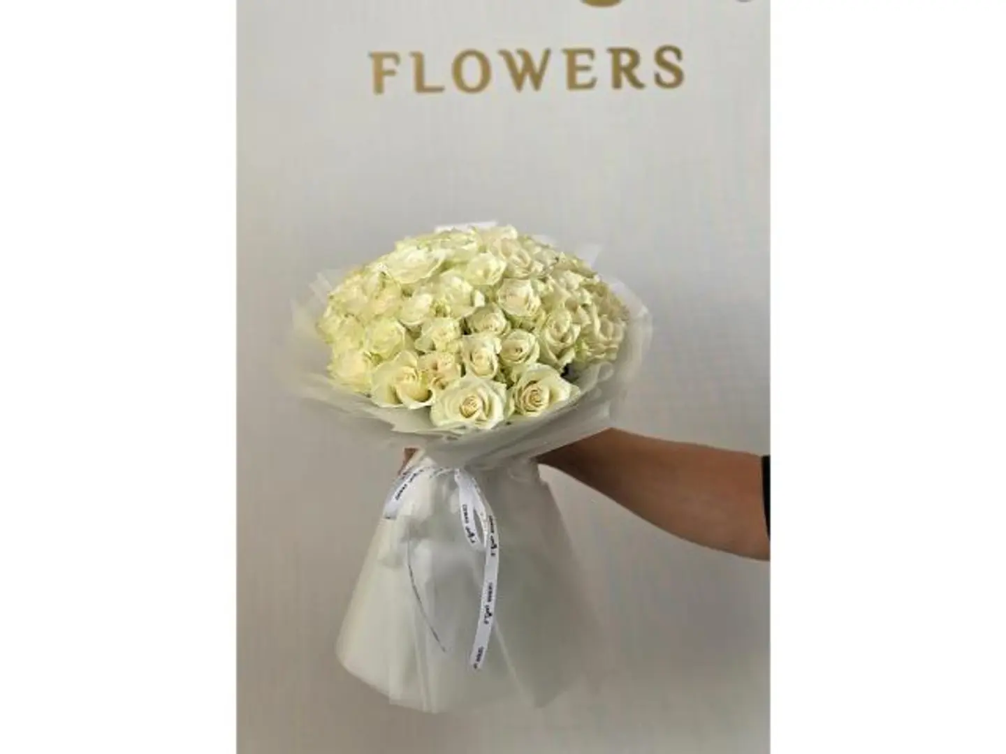 بوكية اوف وايت