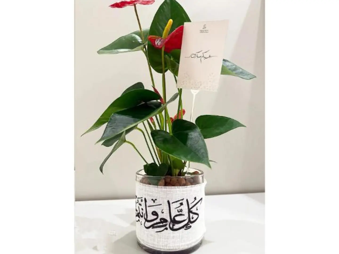 انتوريوم حمراء مع شريط كل عام وأنتم بخير