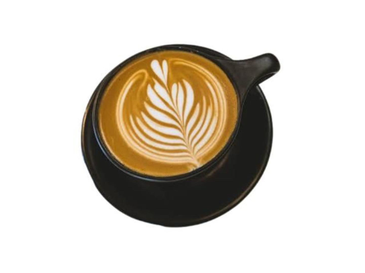 Hot Hazelnut Latte