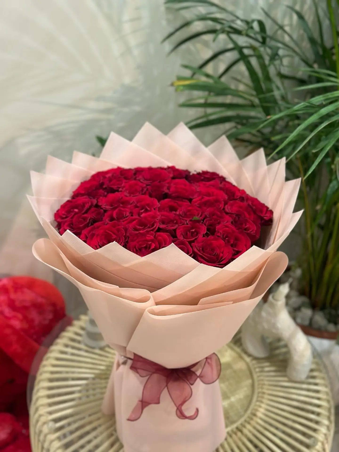 باقة الجمال ٢