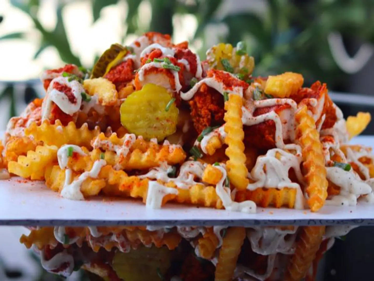 بطاطس الناشفيل