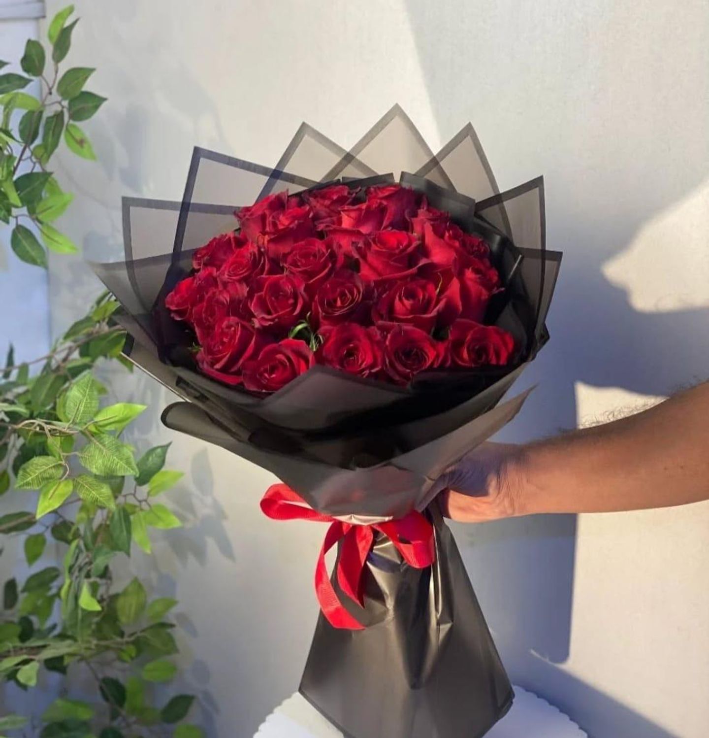 بكج نوره