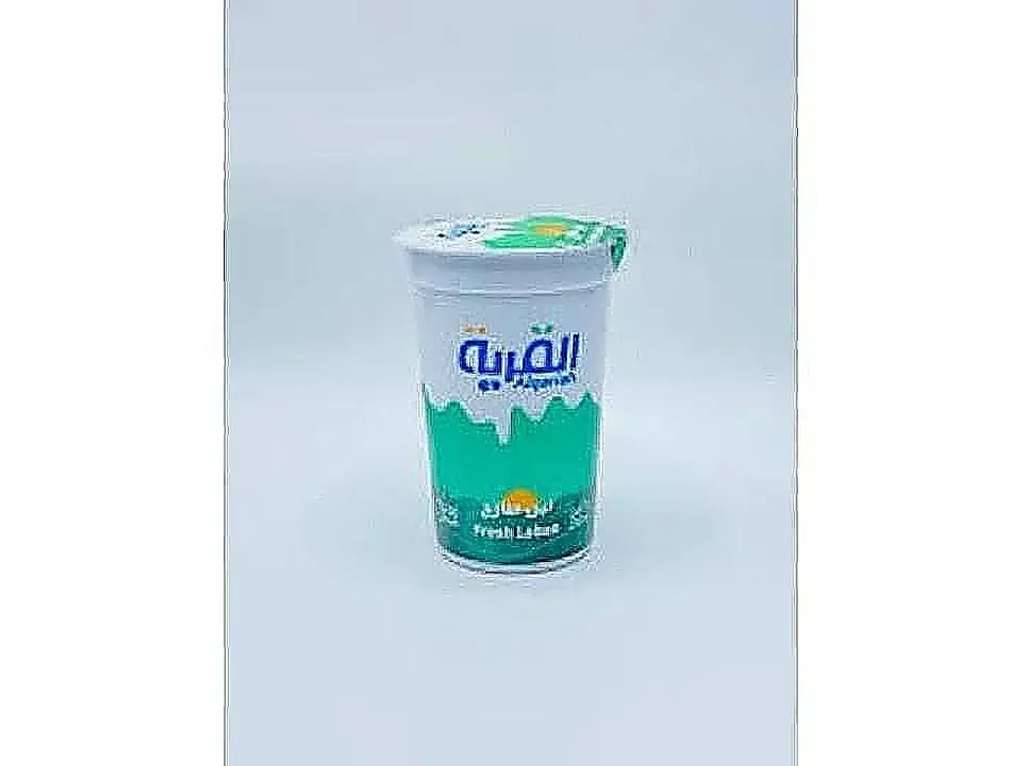 Village Yogurt