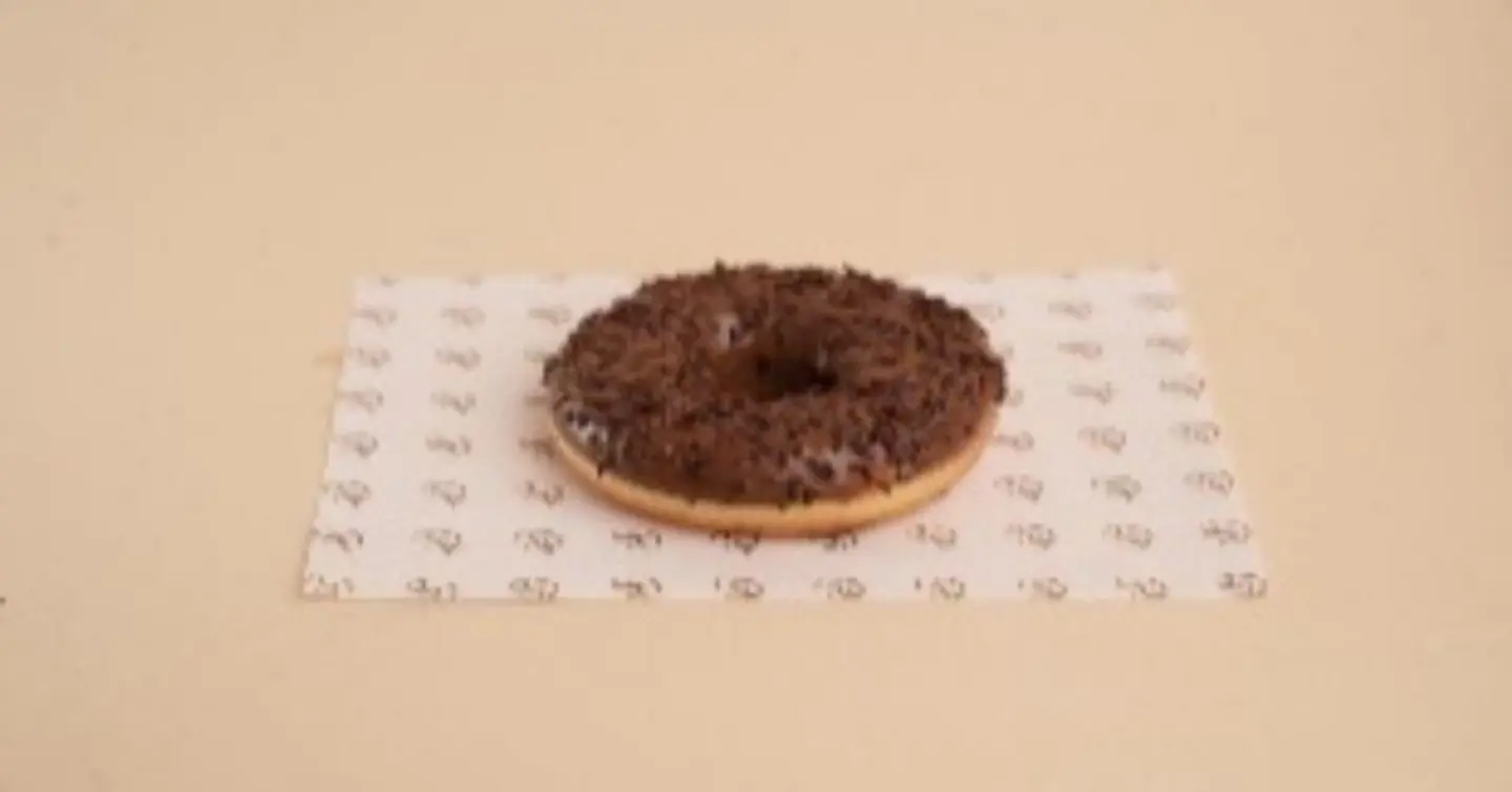 Chocolate Glazed Doughnut