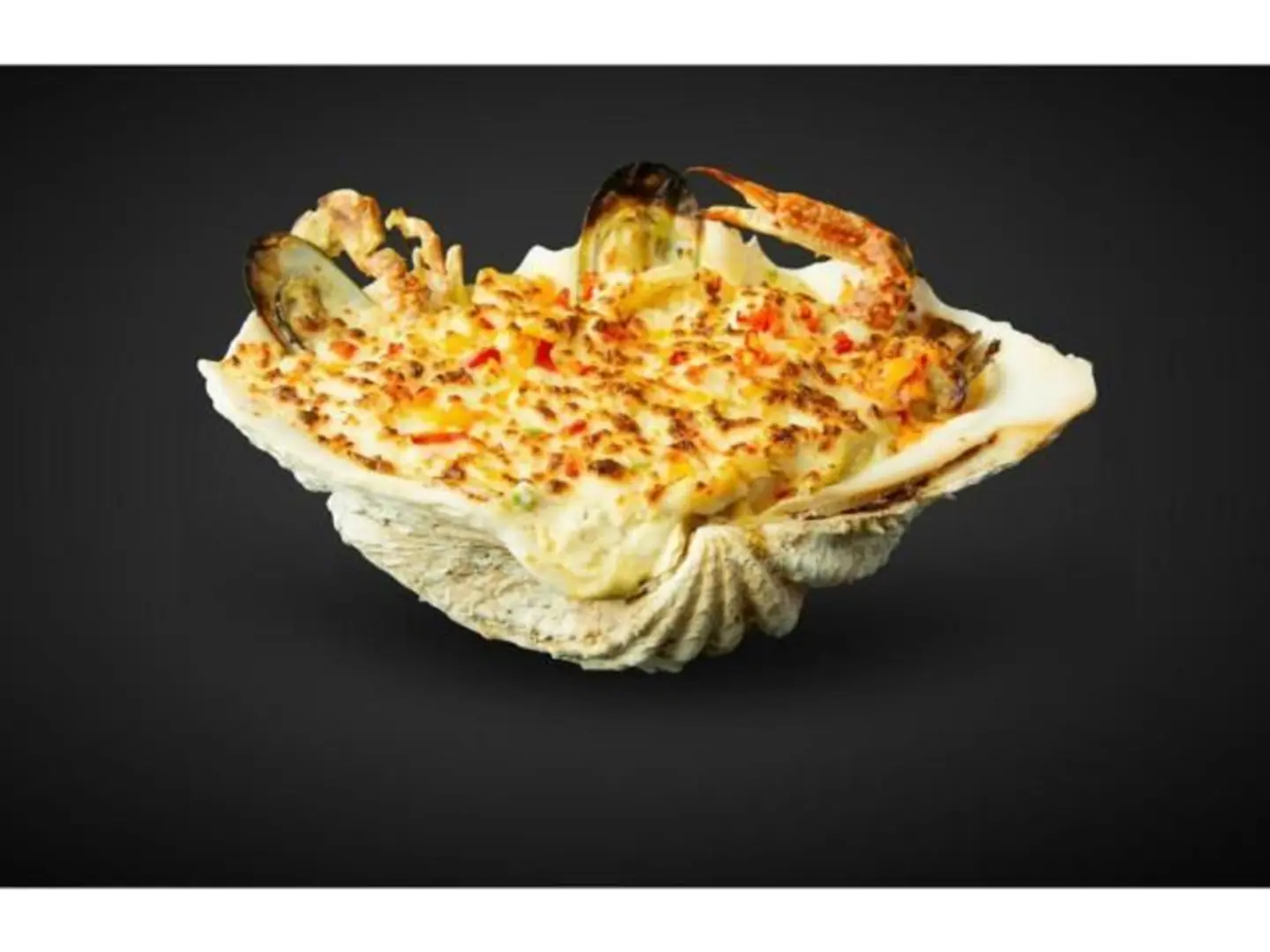 Signature Calamari Shell