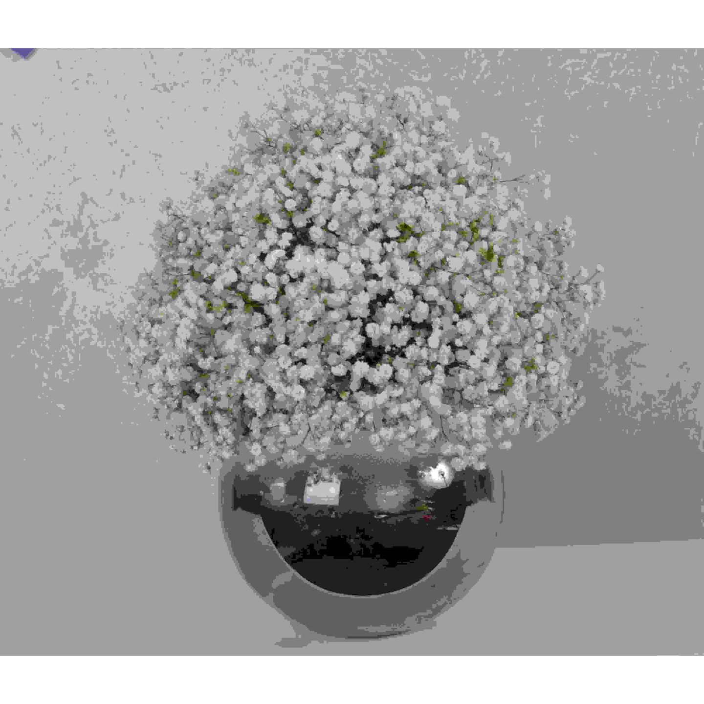 White Vase