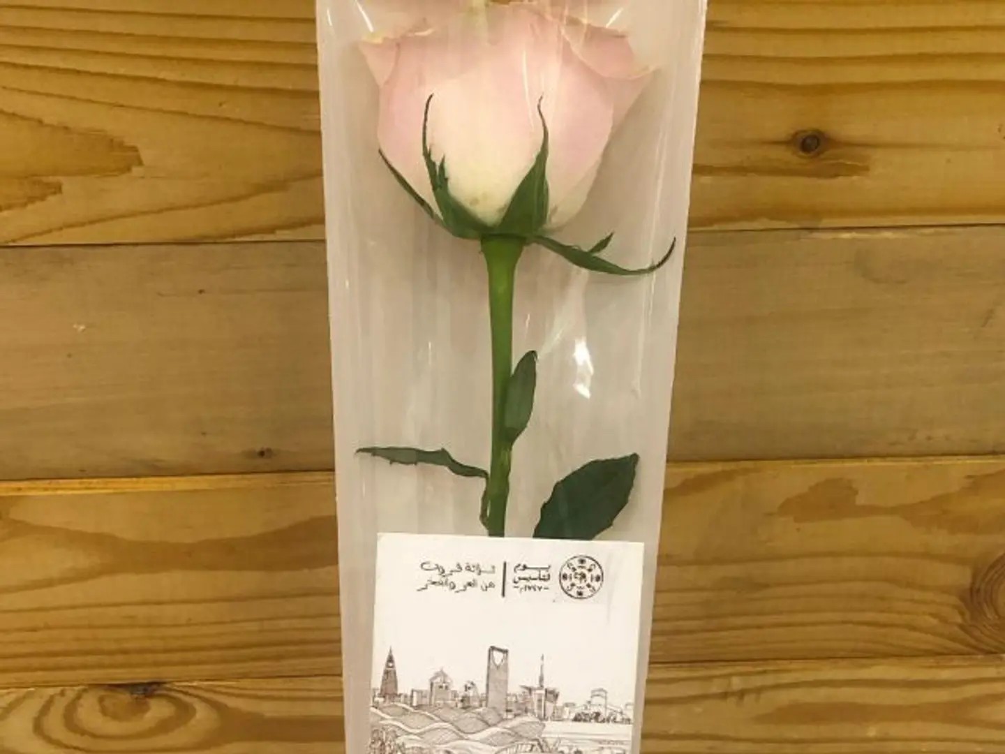 Rose Foundation Day 3