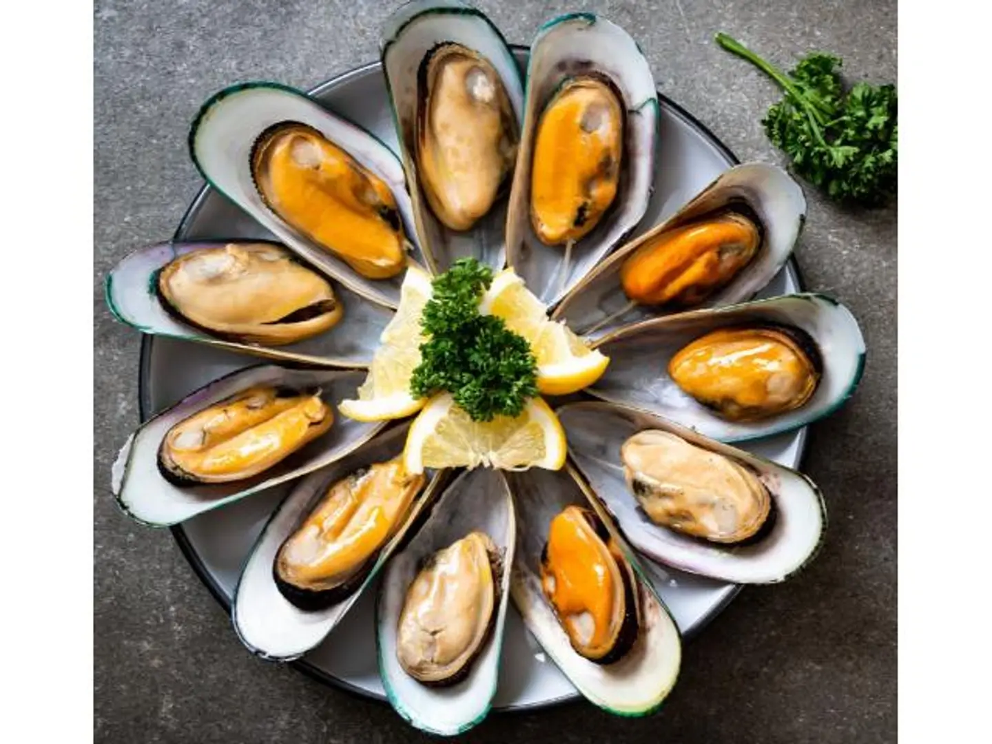 Mussels - Mussels
