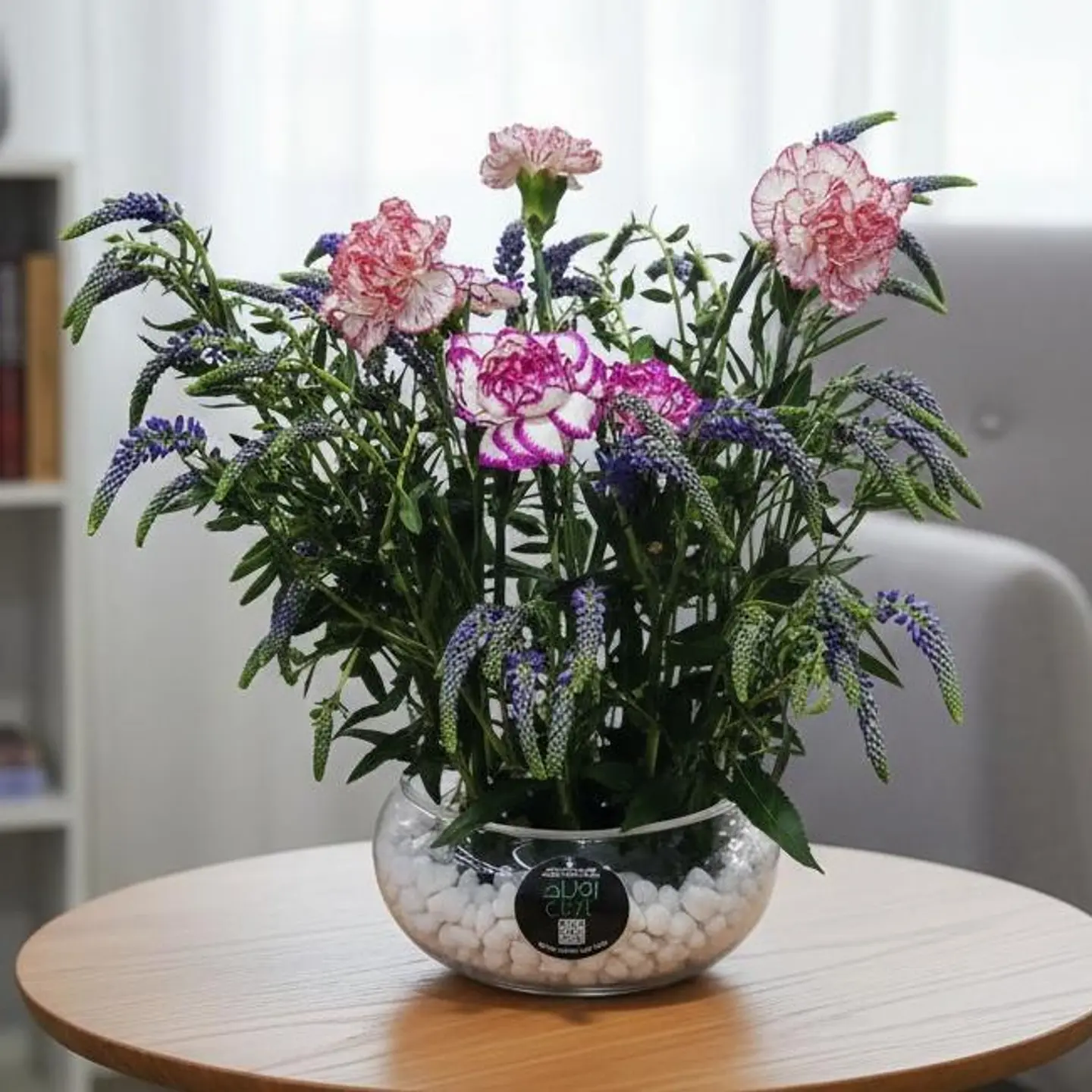 جمال غربي بالعربية