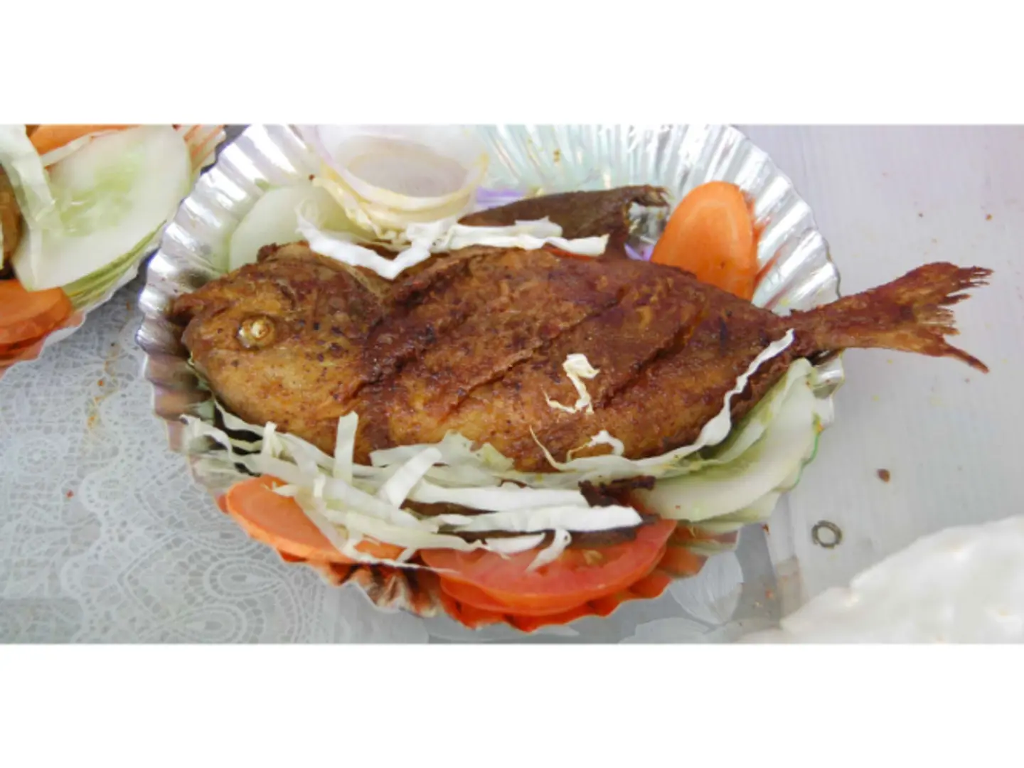 أسماك أبولو