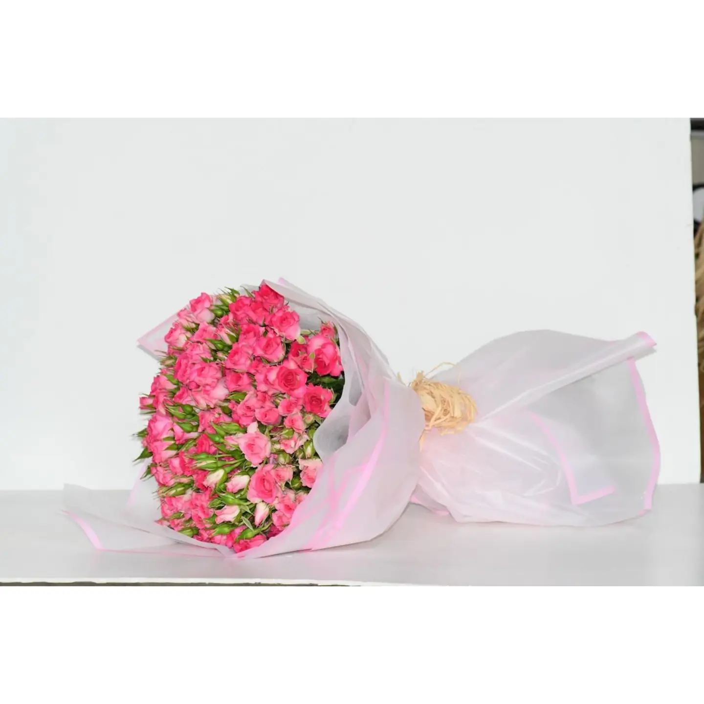 Baby Rose Pink