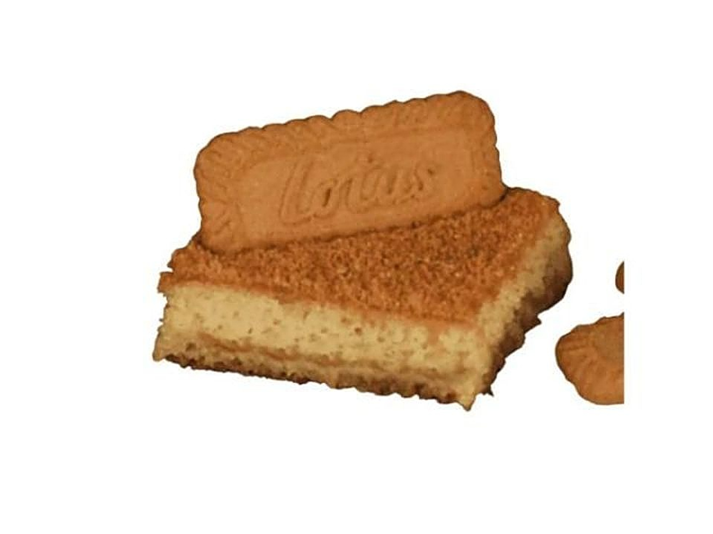 Lotus Basbousa
