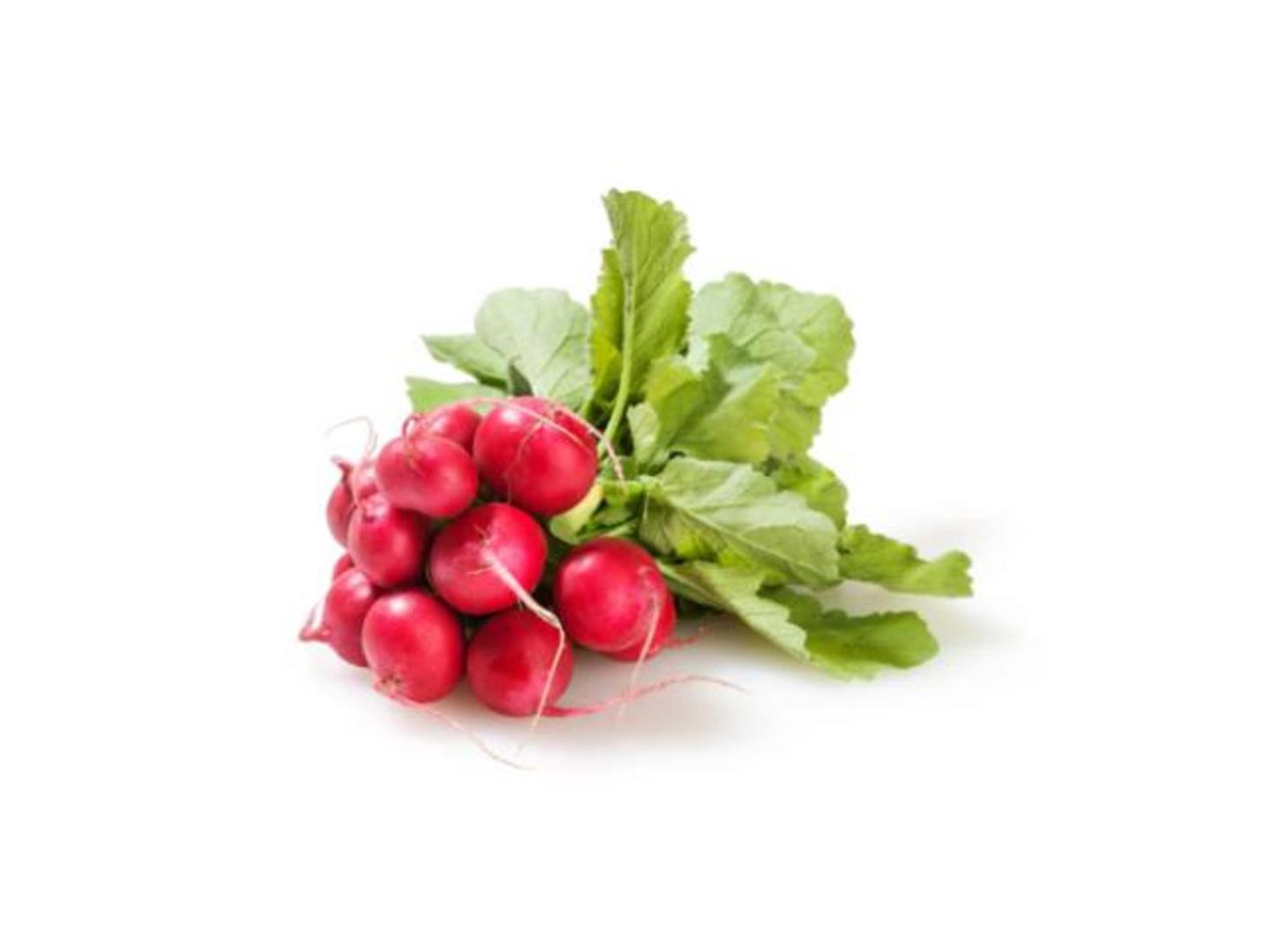 Red Radish Bunch