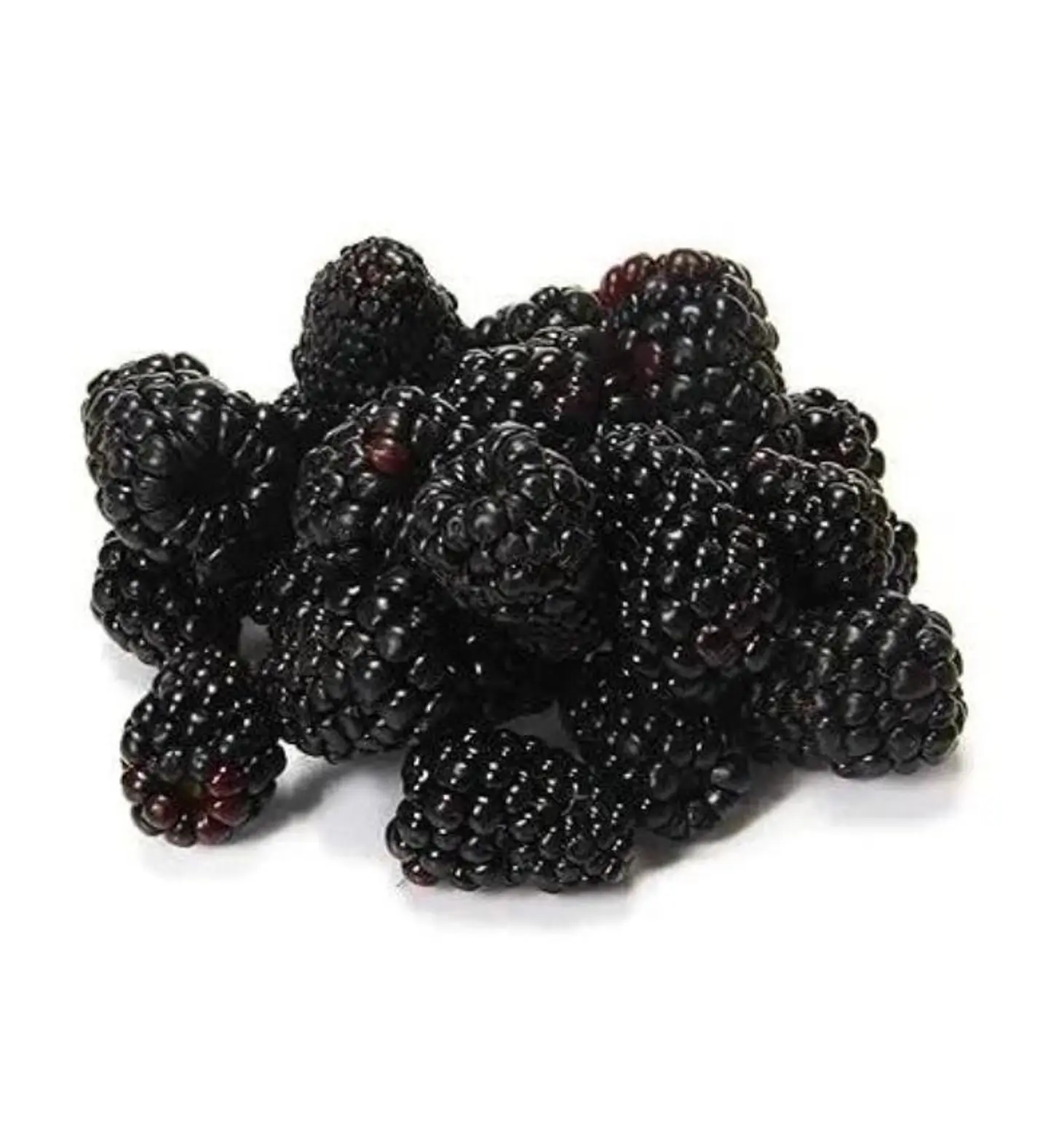 Blackberry