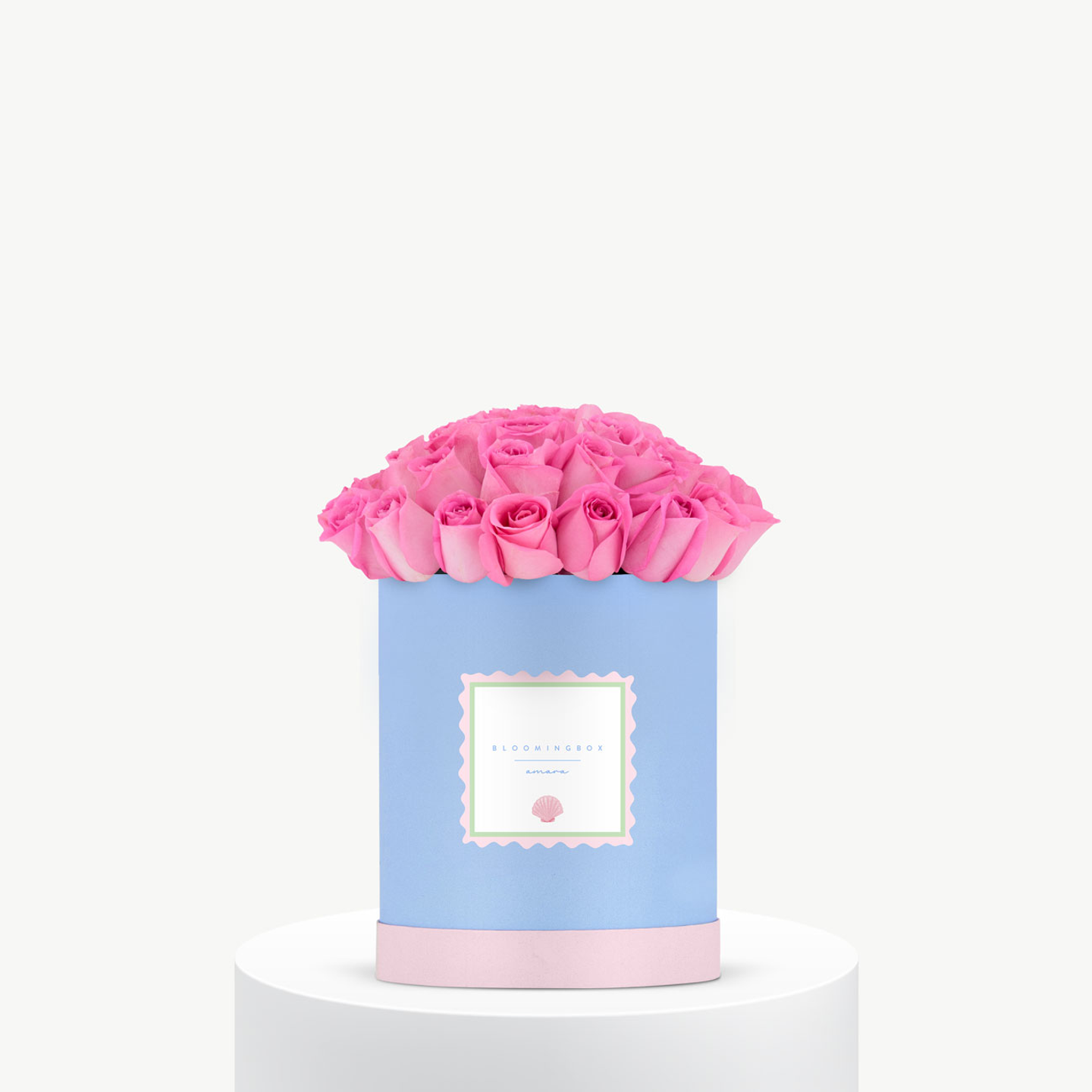 بلو بل روز بوكس