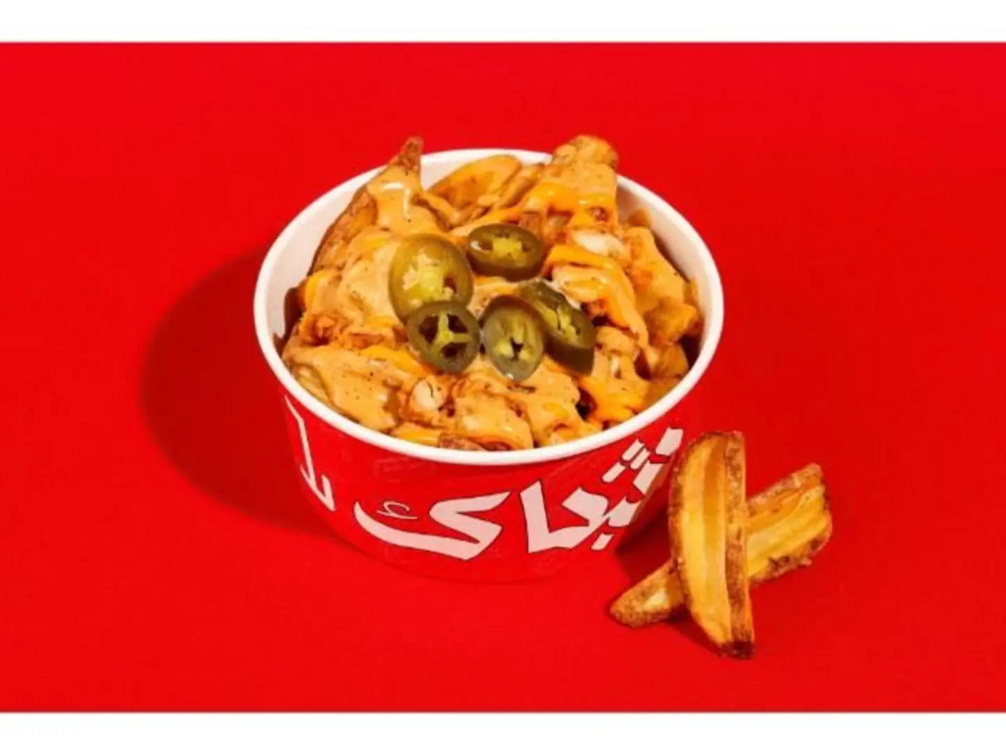 Chicken Shubak Fries