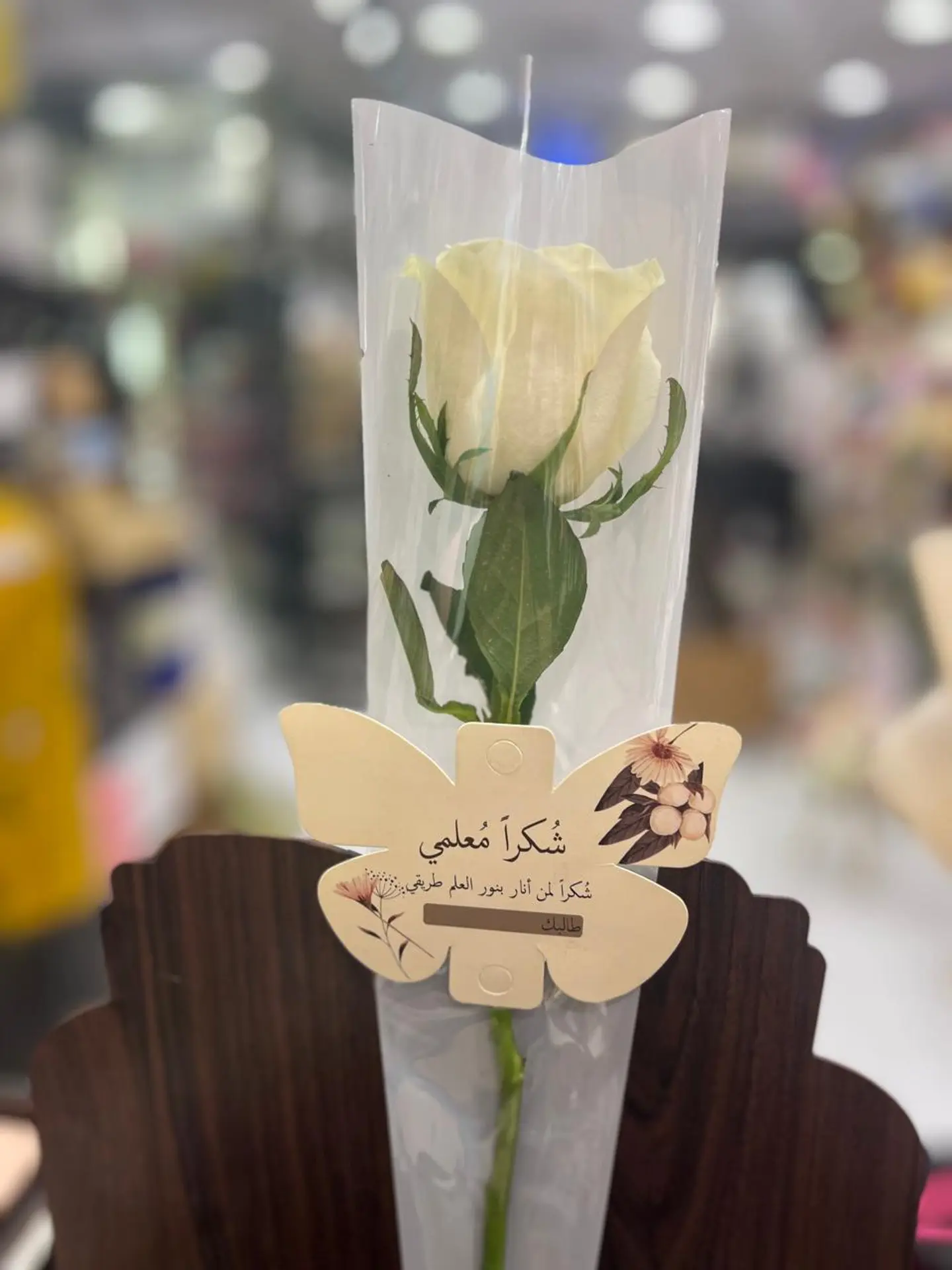 توزيعة المعلم 15