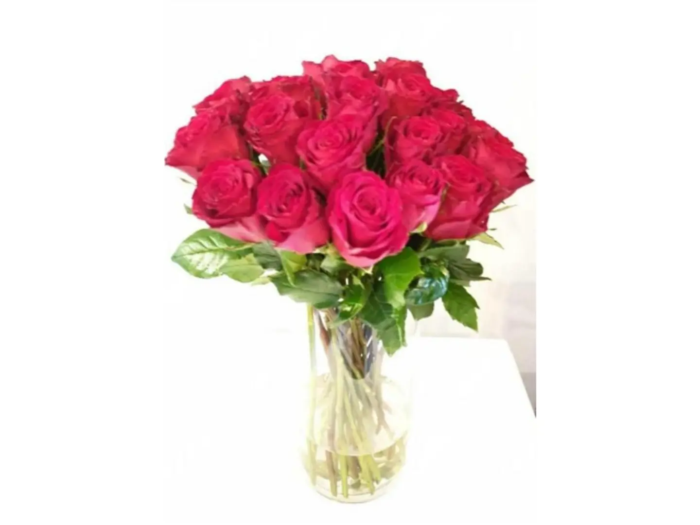 فازة ورد فوشي