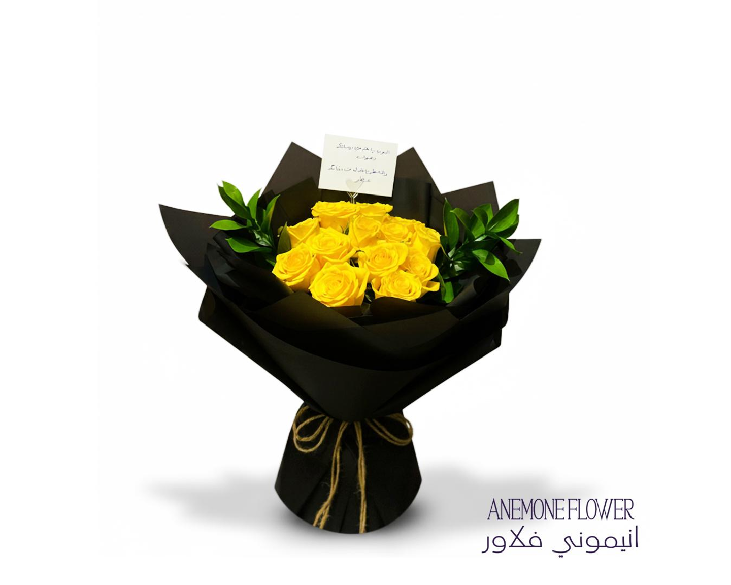 باقة إشراقة الليل