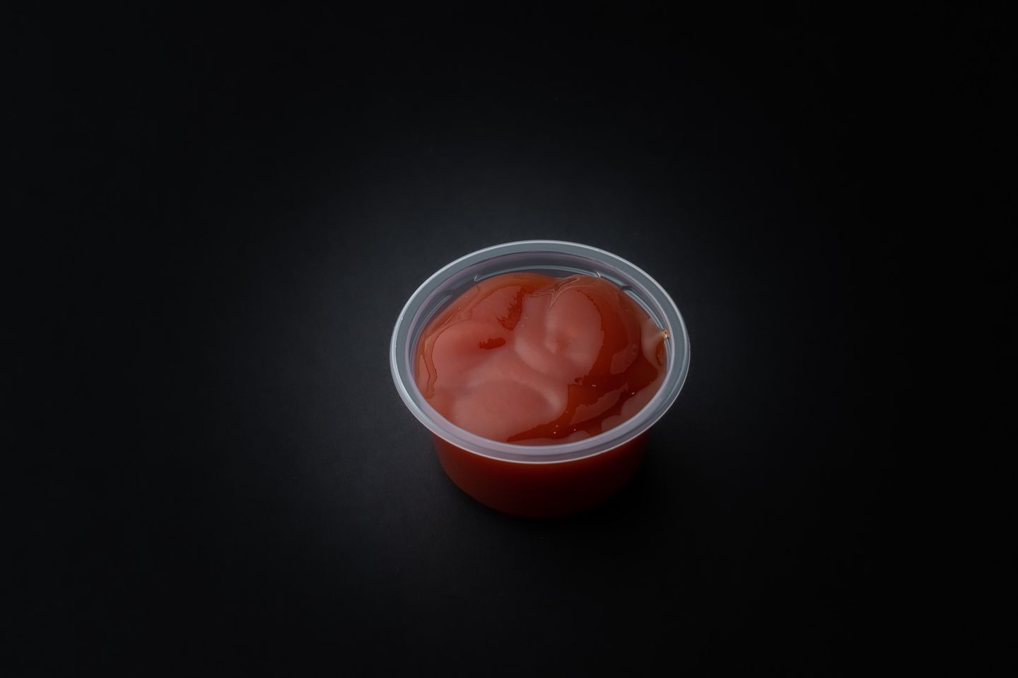 كاتشب