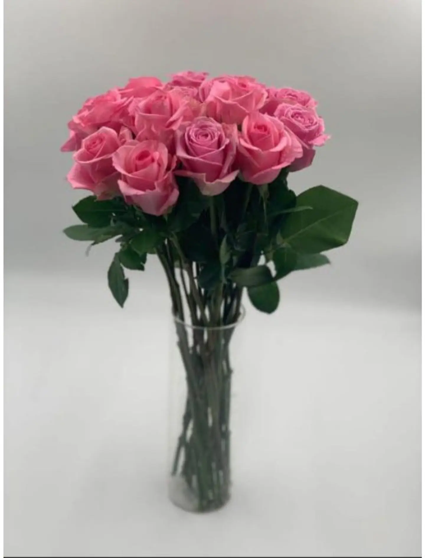 Pink Damask Rose 15 Pieces