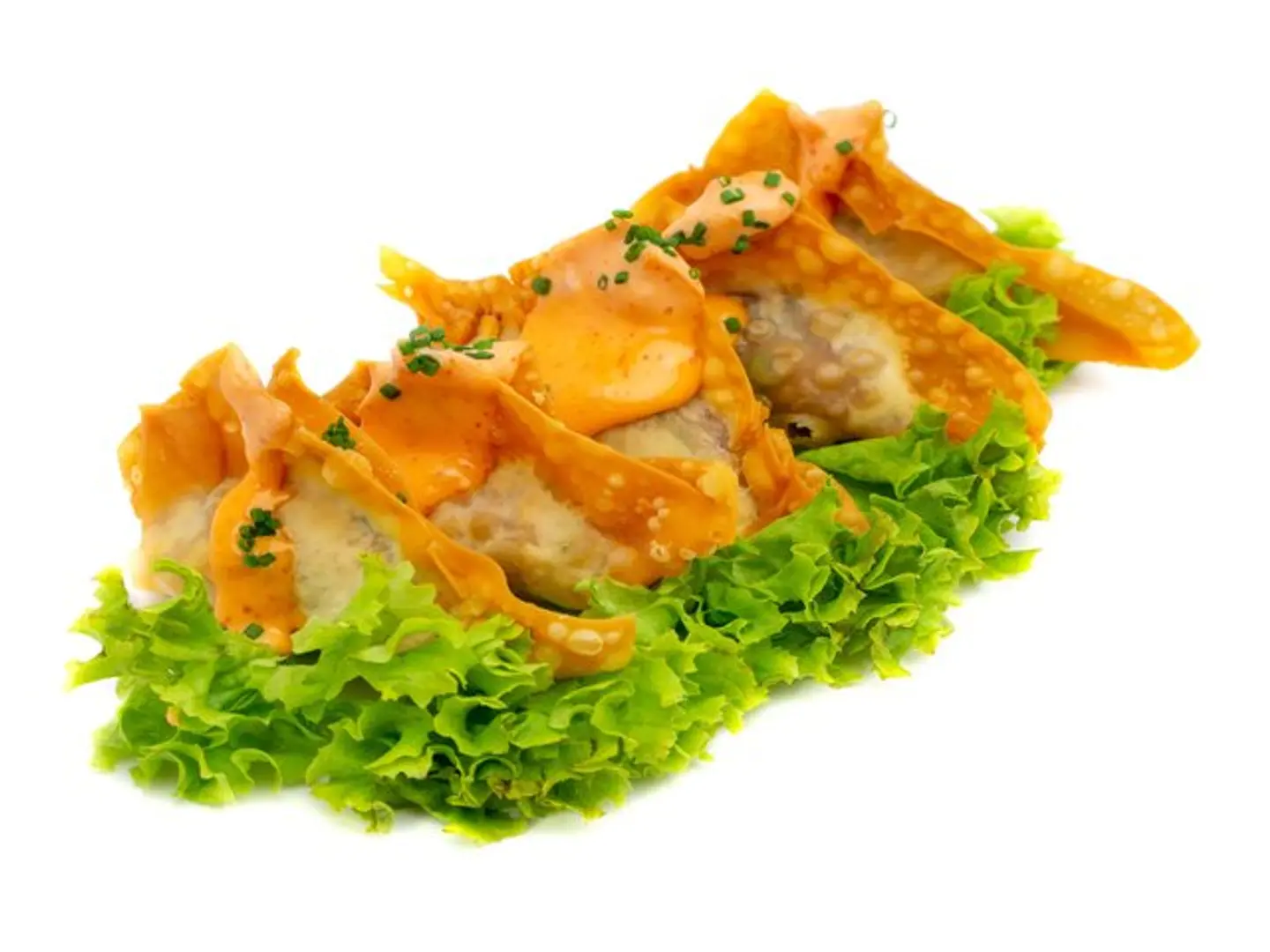 Shrimp Wonton Bites