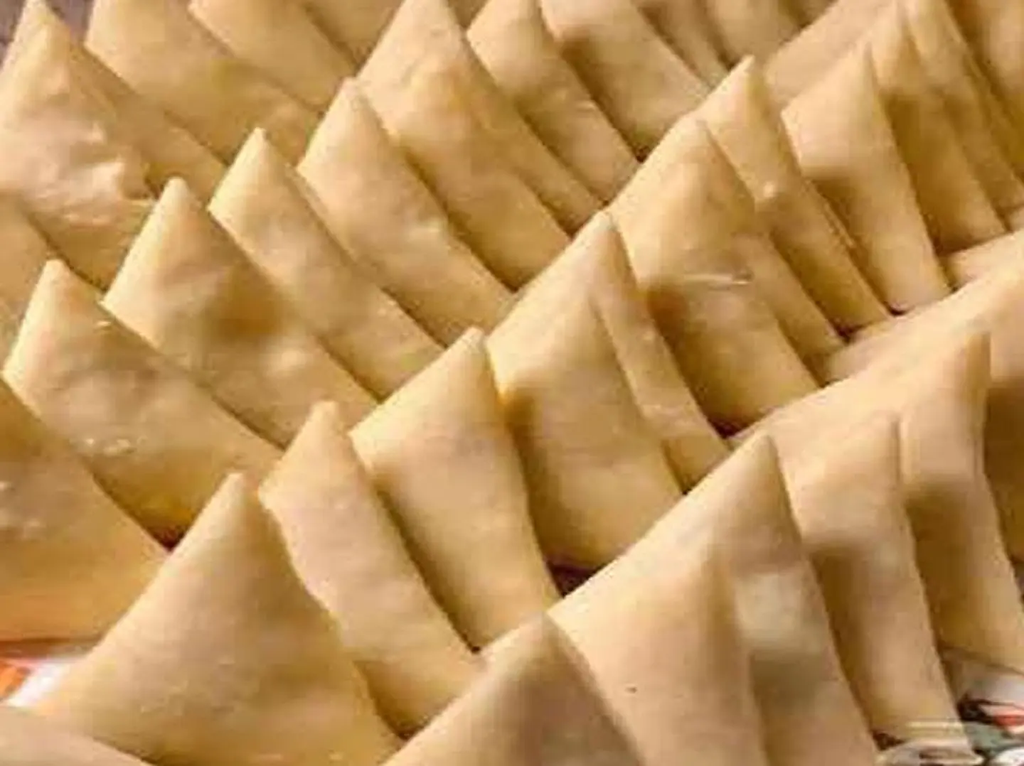 Frozen Meat Samosa