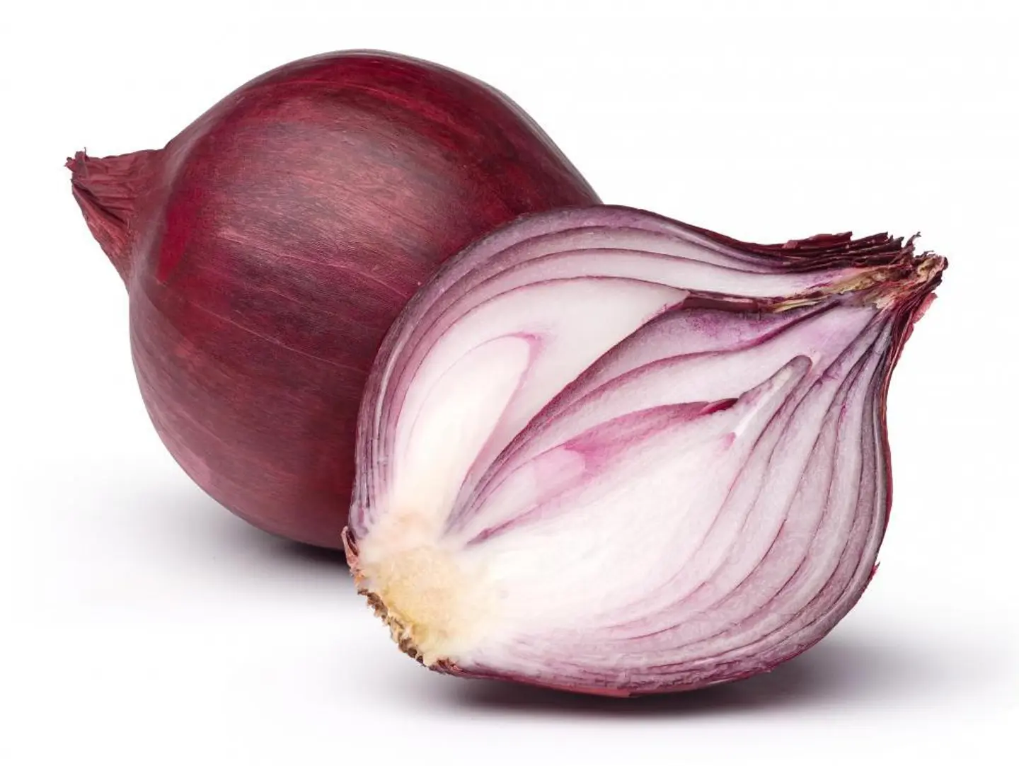 Onion