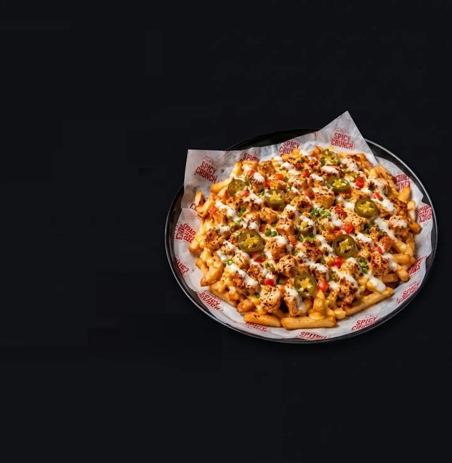 Loaded Fries With Chicken