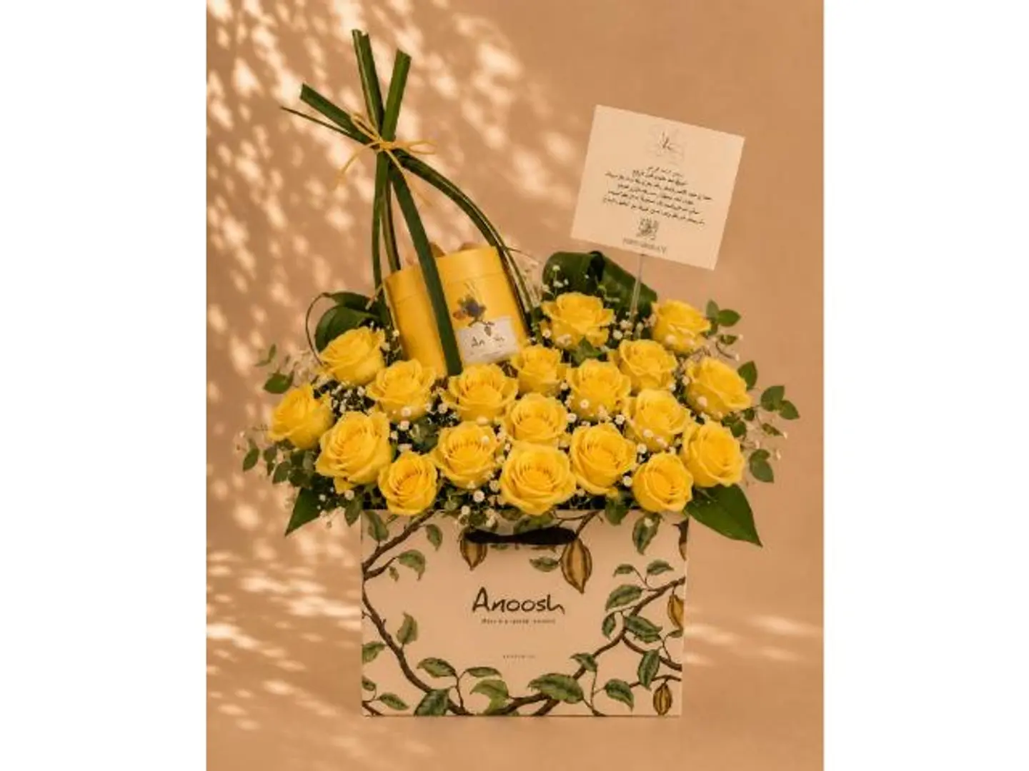 Anoush Word Reno Anoush 23
