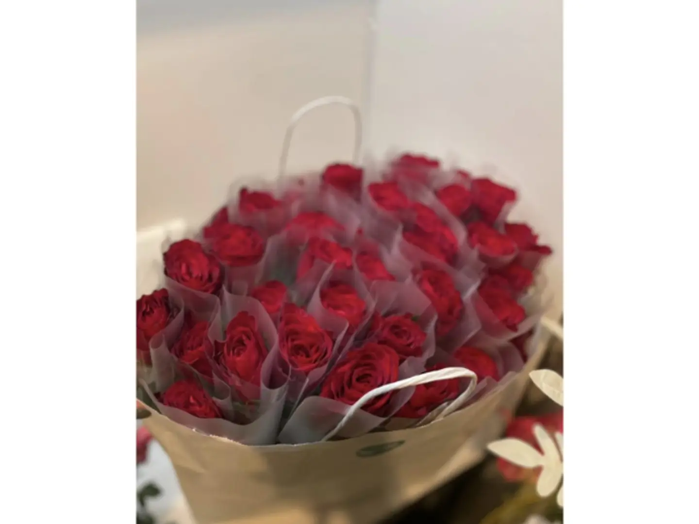 Damask Roses Distribution