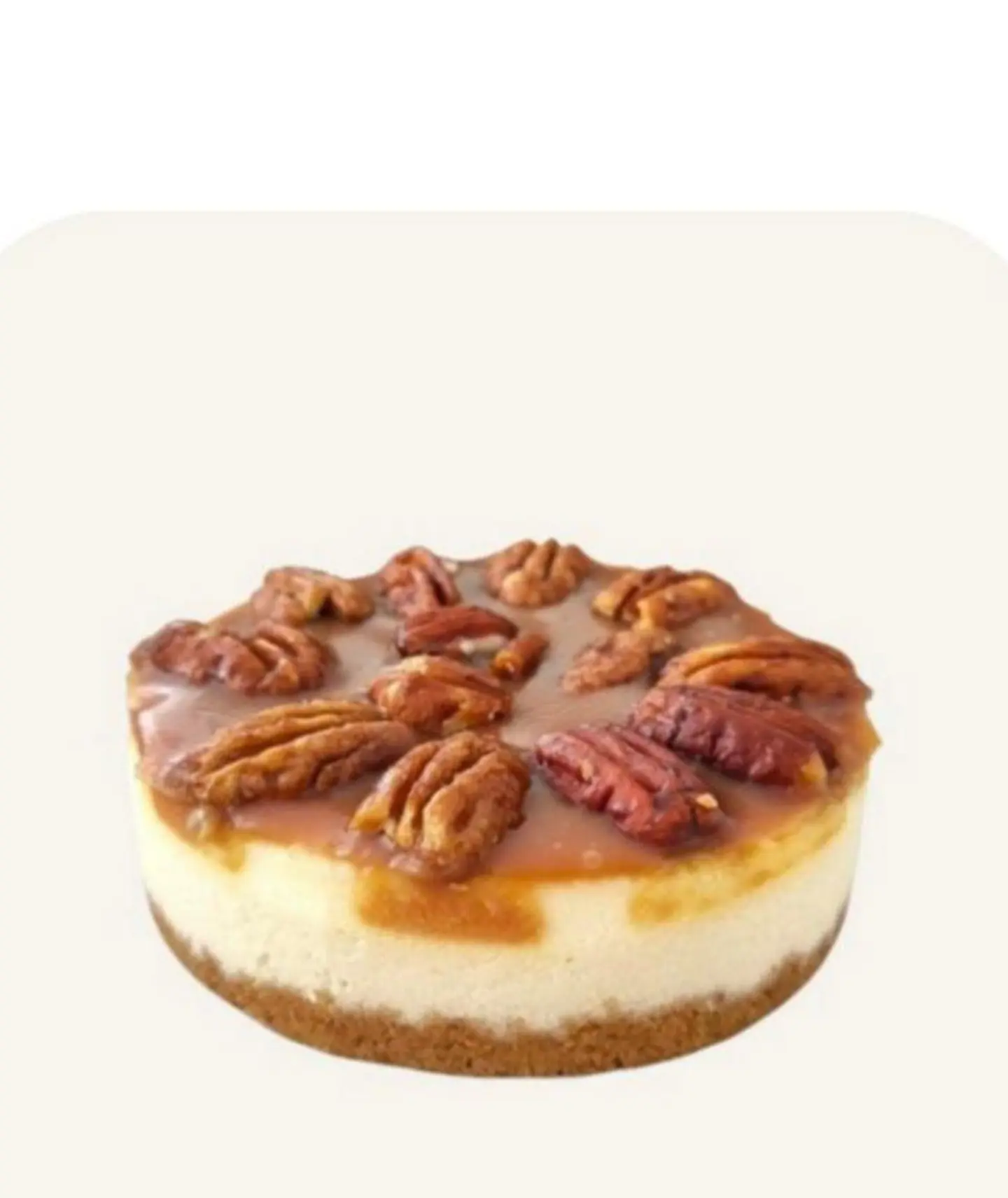 Pecan Cheesecake